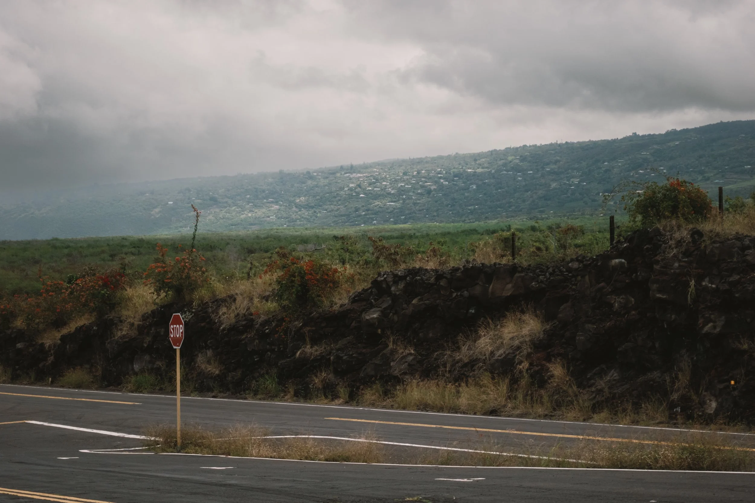 05022023-HawaiiTrip-Edits-JPEGS-736.jpg
