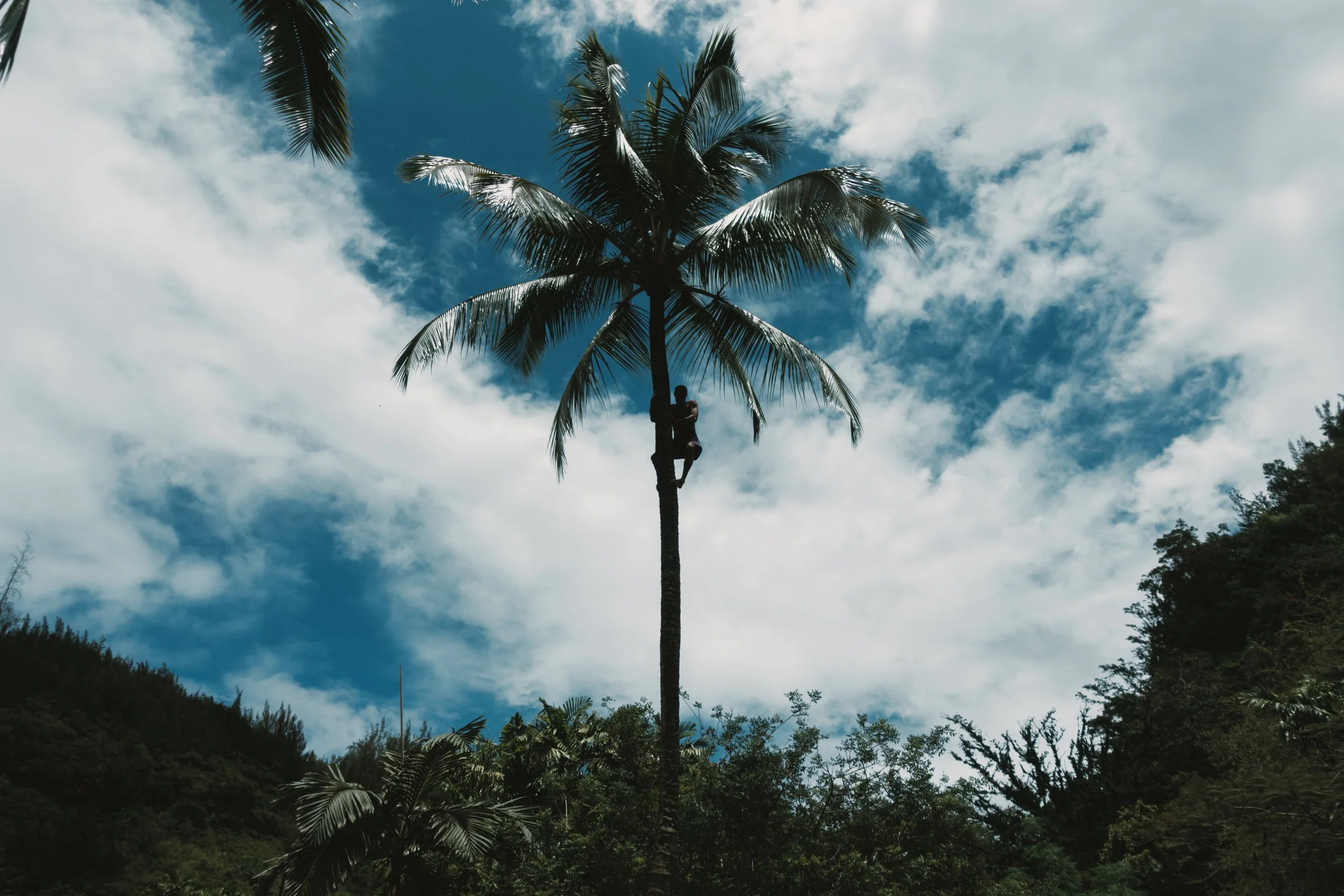 05022023-HawaiiTrip-Edits-JPEGS-534.jpg