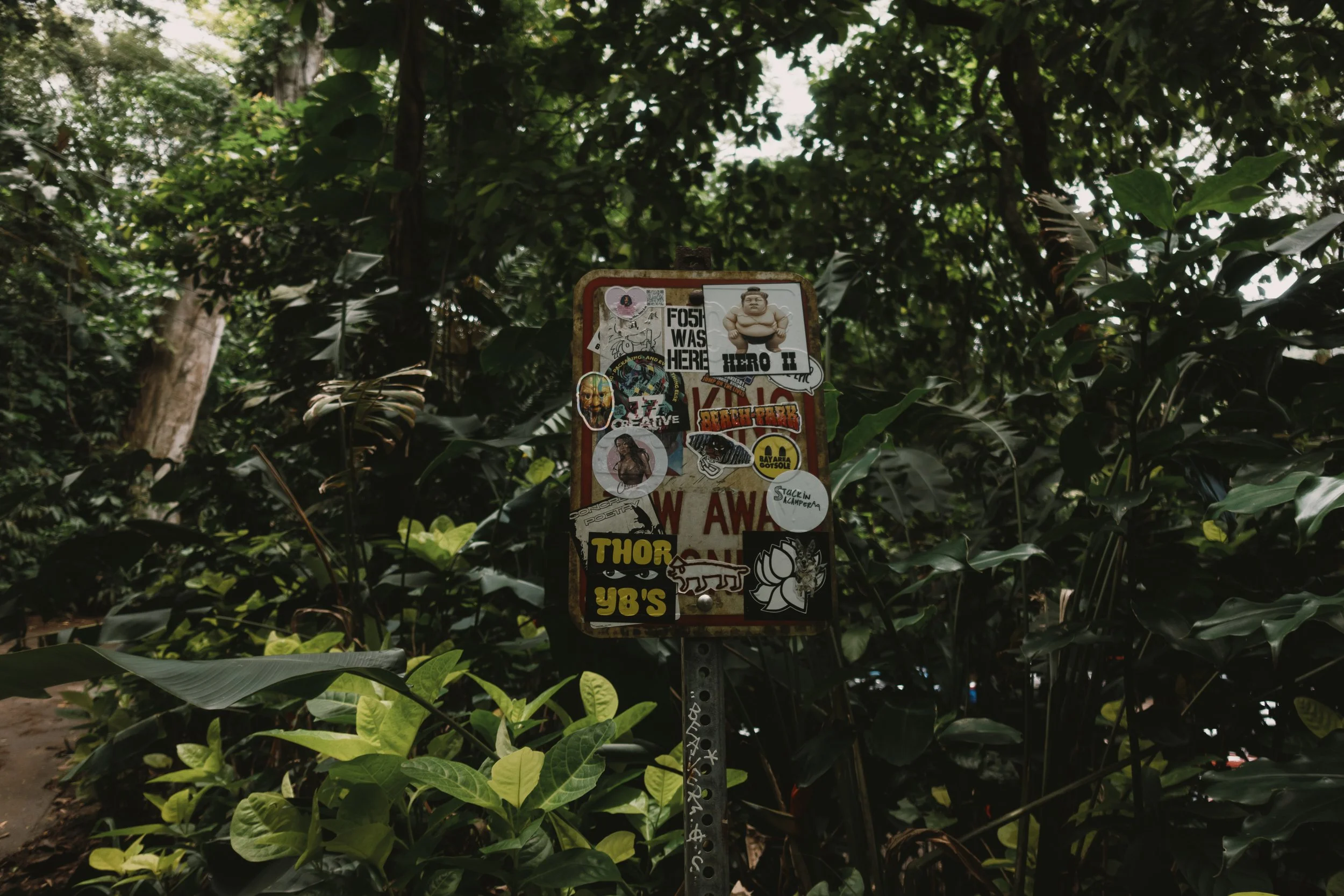 05022023-HawaiiTrip-Edits-JPEGS-034.jpg