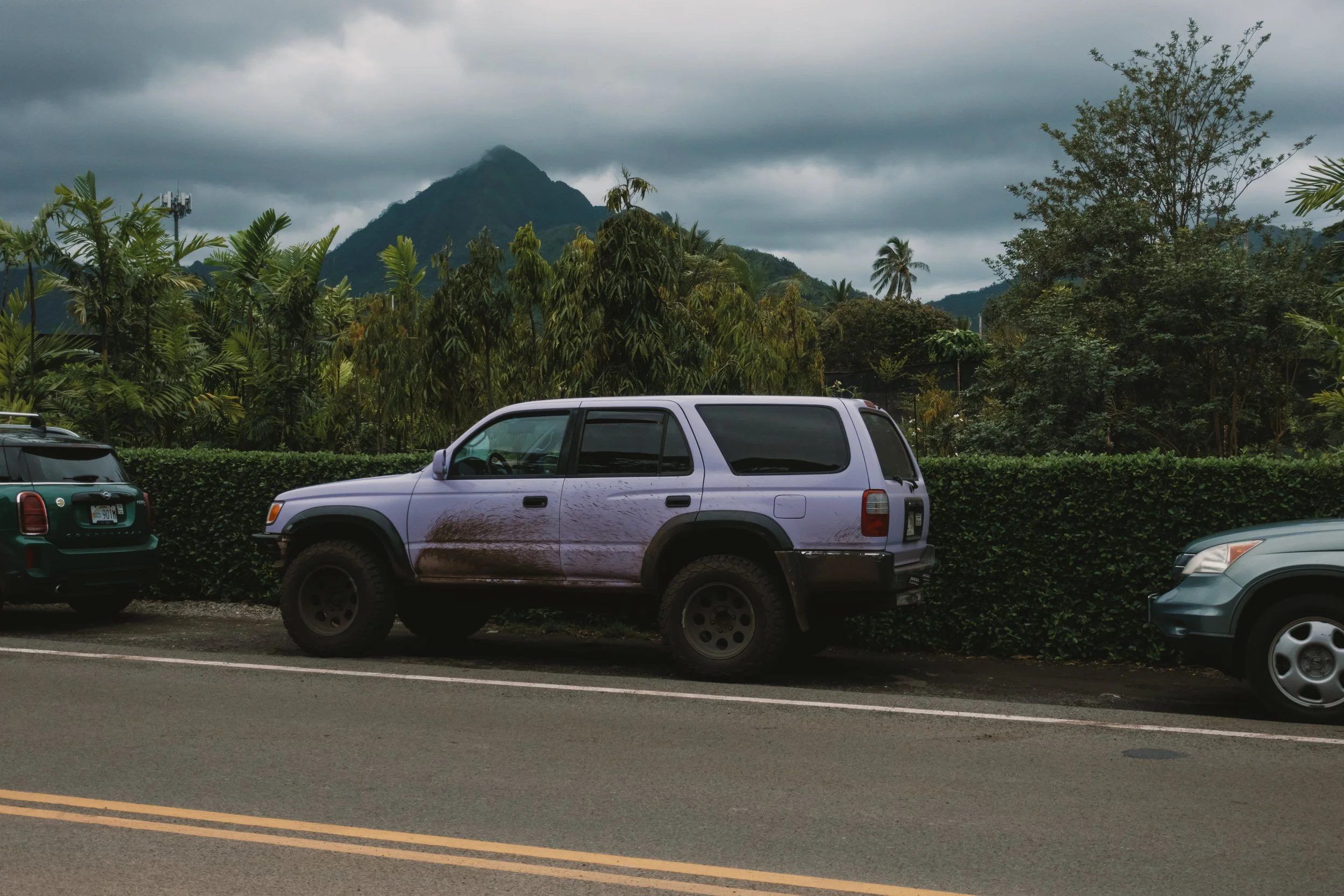 05022023-HawaiiTrip-Edits-JPEGS-135.jpg