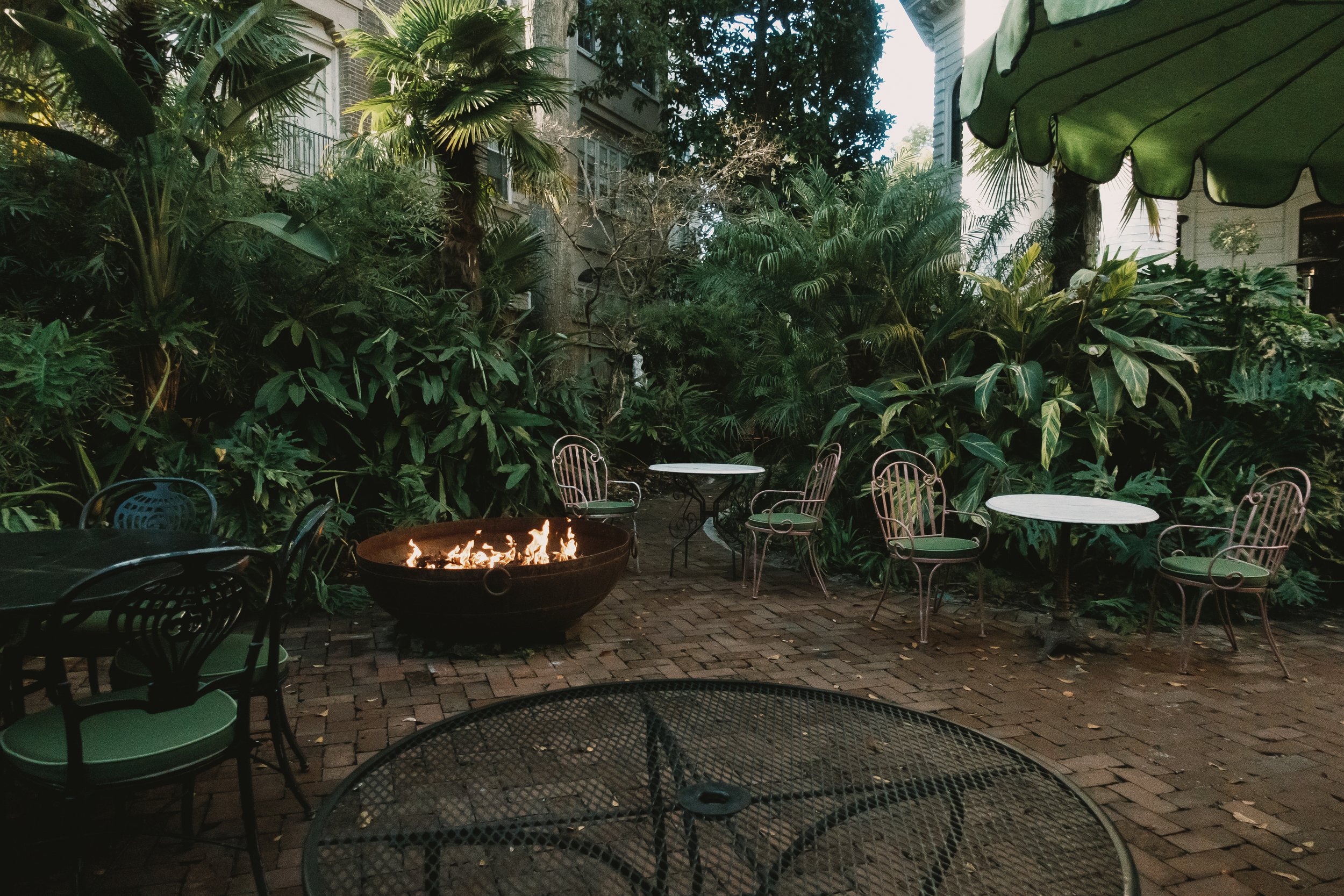 01282024-NOLA-Edits-JPEGS-086.jpg
