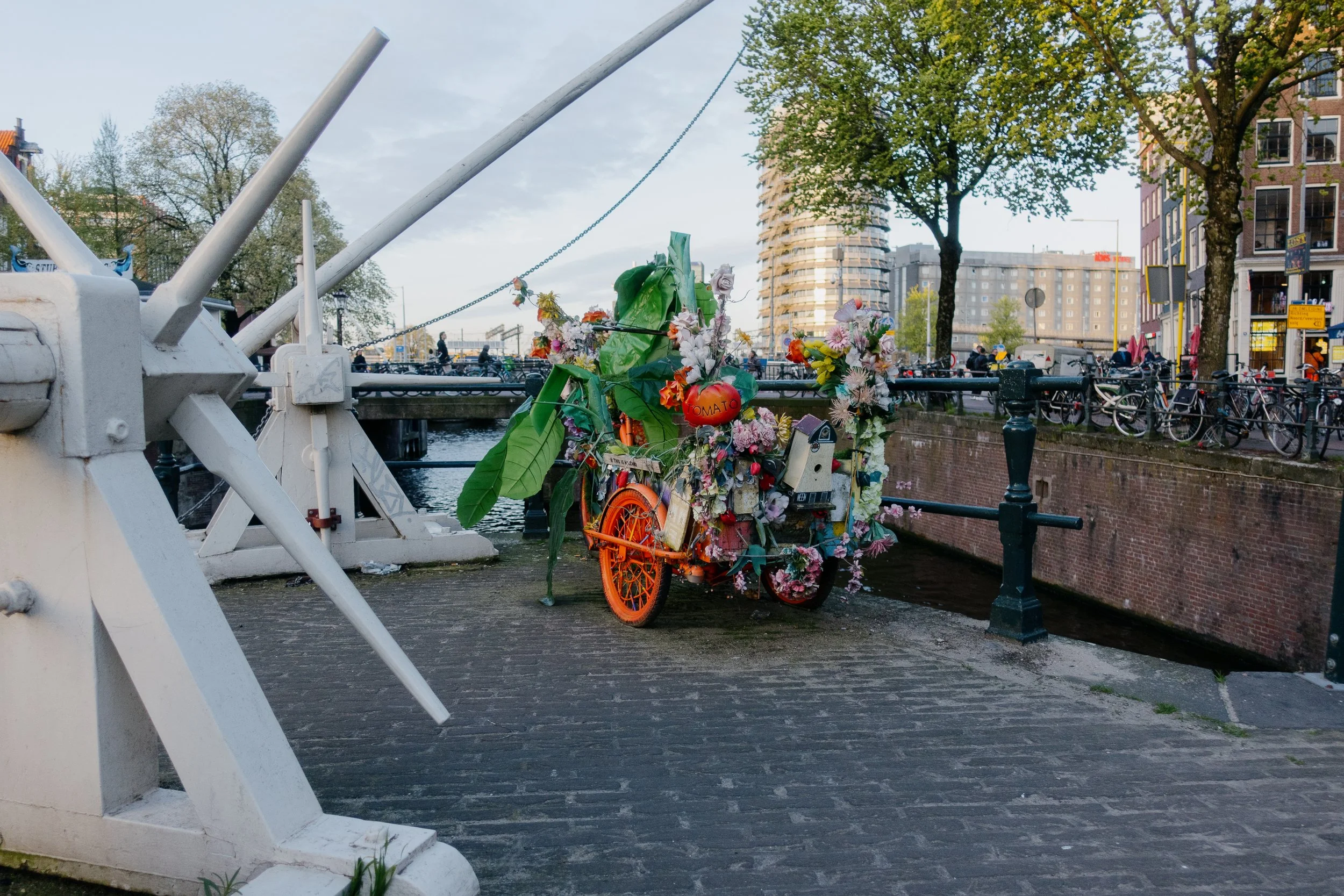 04192024-Netherlands-Edits-JPEGS-633.jpg