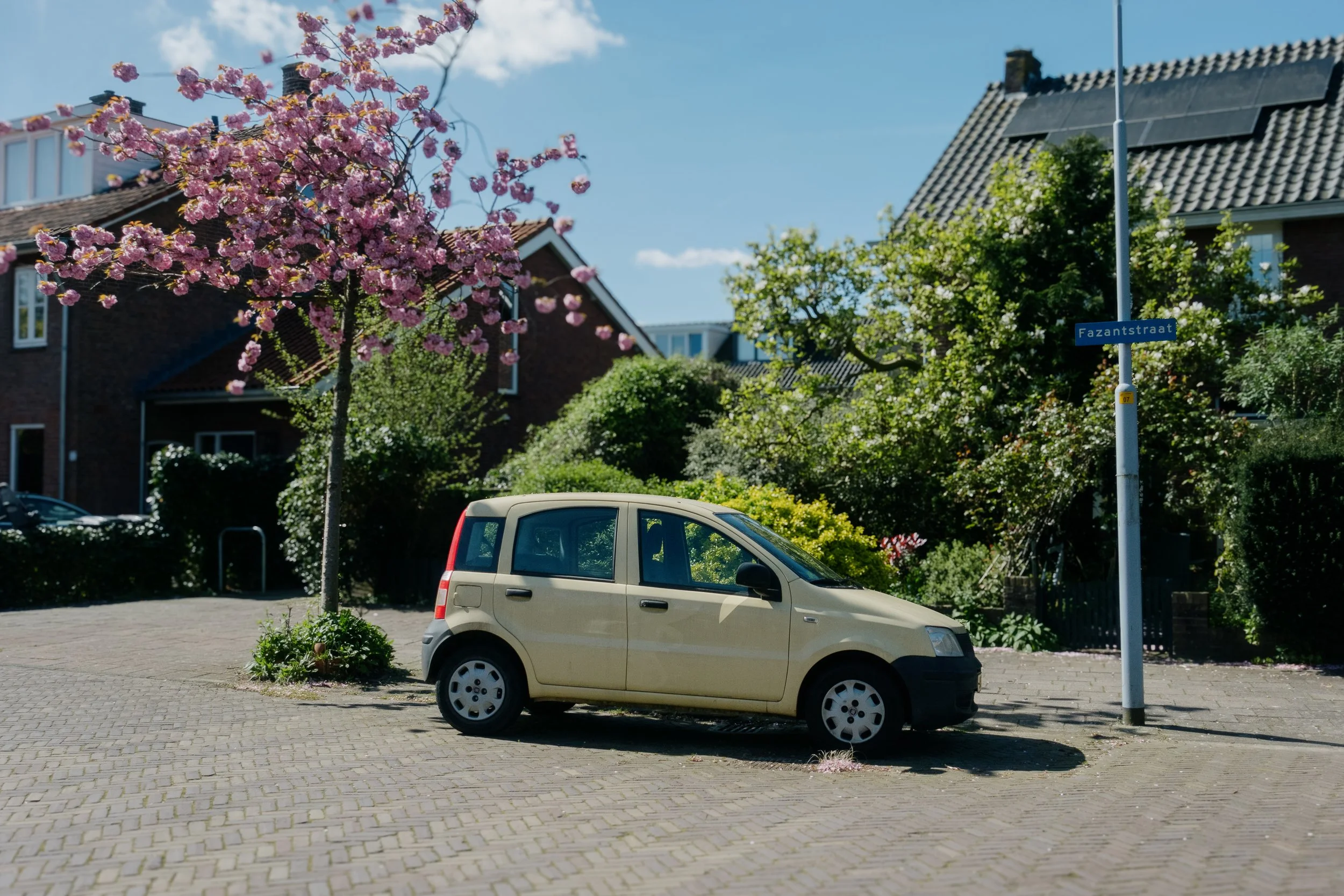 04192024-Netherlands-Edits-JPEGS-656.jpg