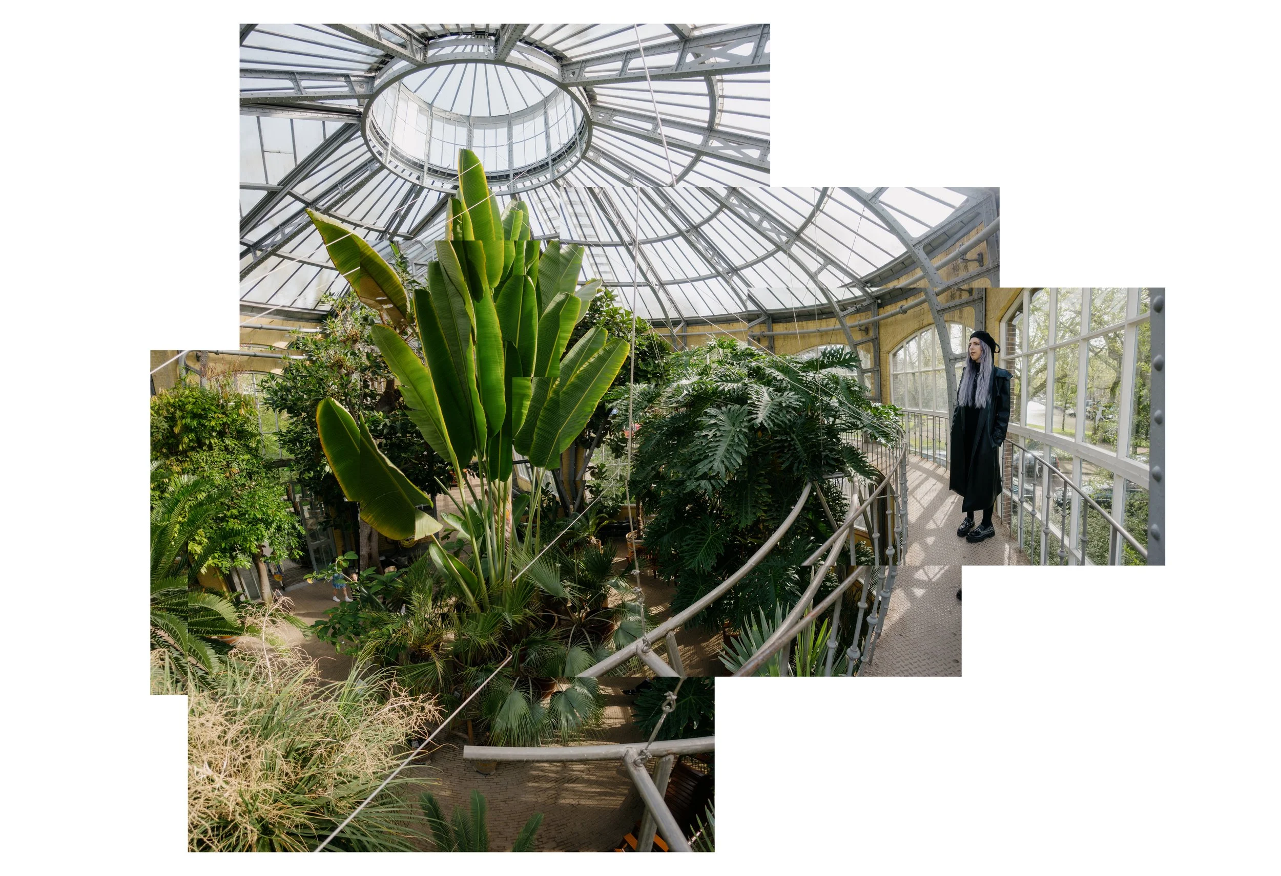 NetherlandsBotanical.jpg