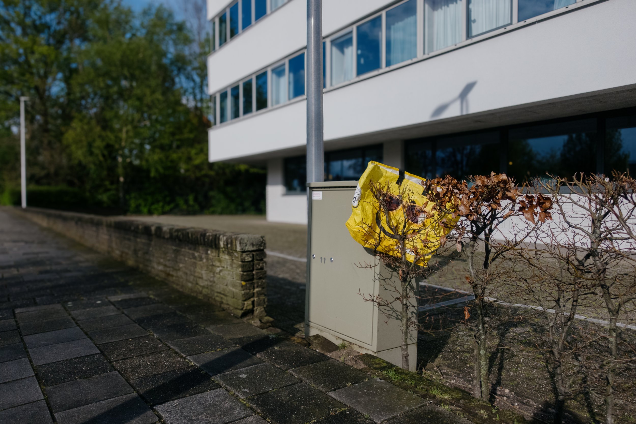 04192024-Netherlands-Edits-JPEGS-029.jpg