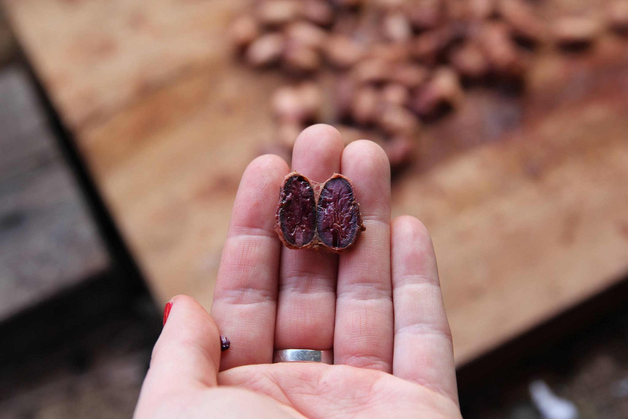 Dandelion Chocolate admires some beans from Belize