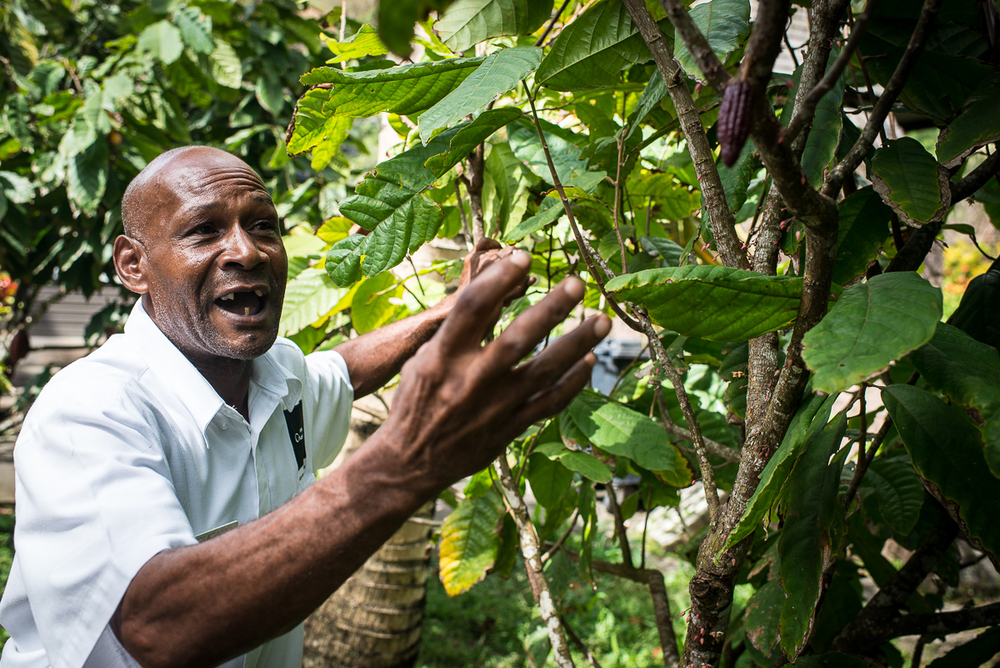 Our tour guide, Cuthbert Monroque, at Hotel Chocolat. Photo by Jenny Sathngam.