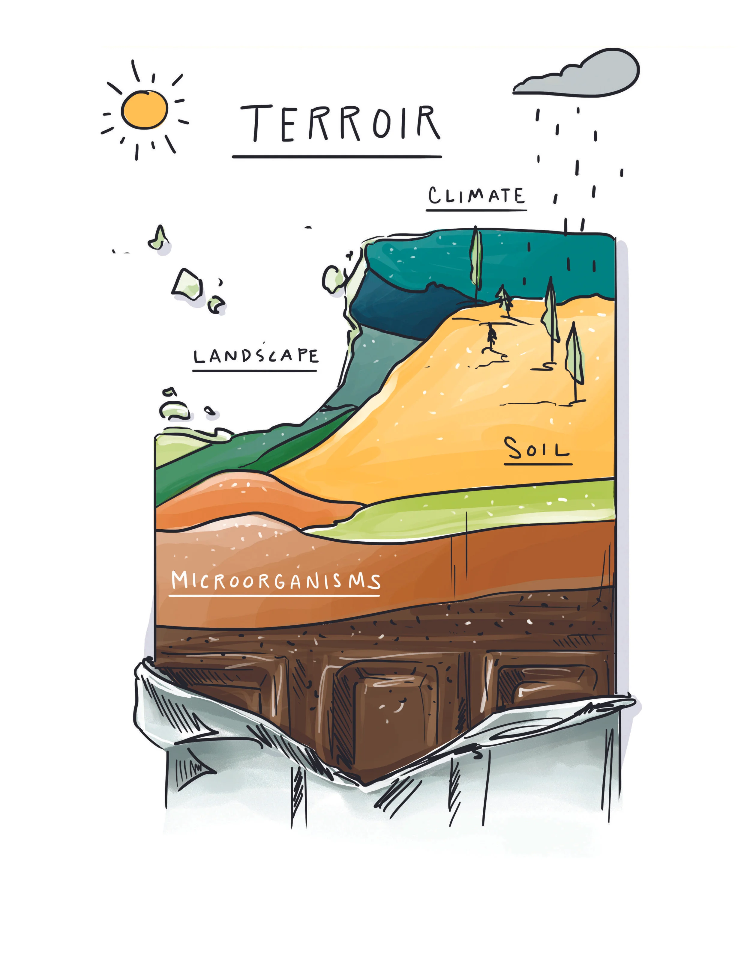 Illustration by Amber Day from my book