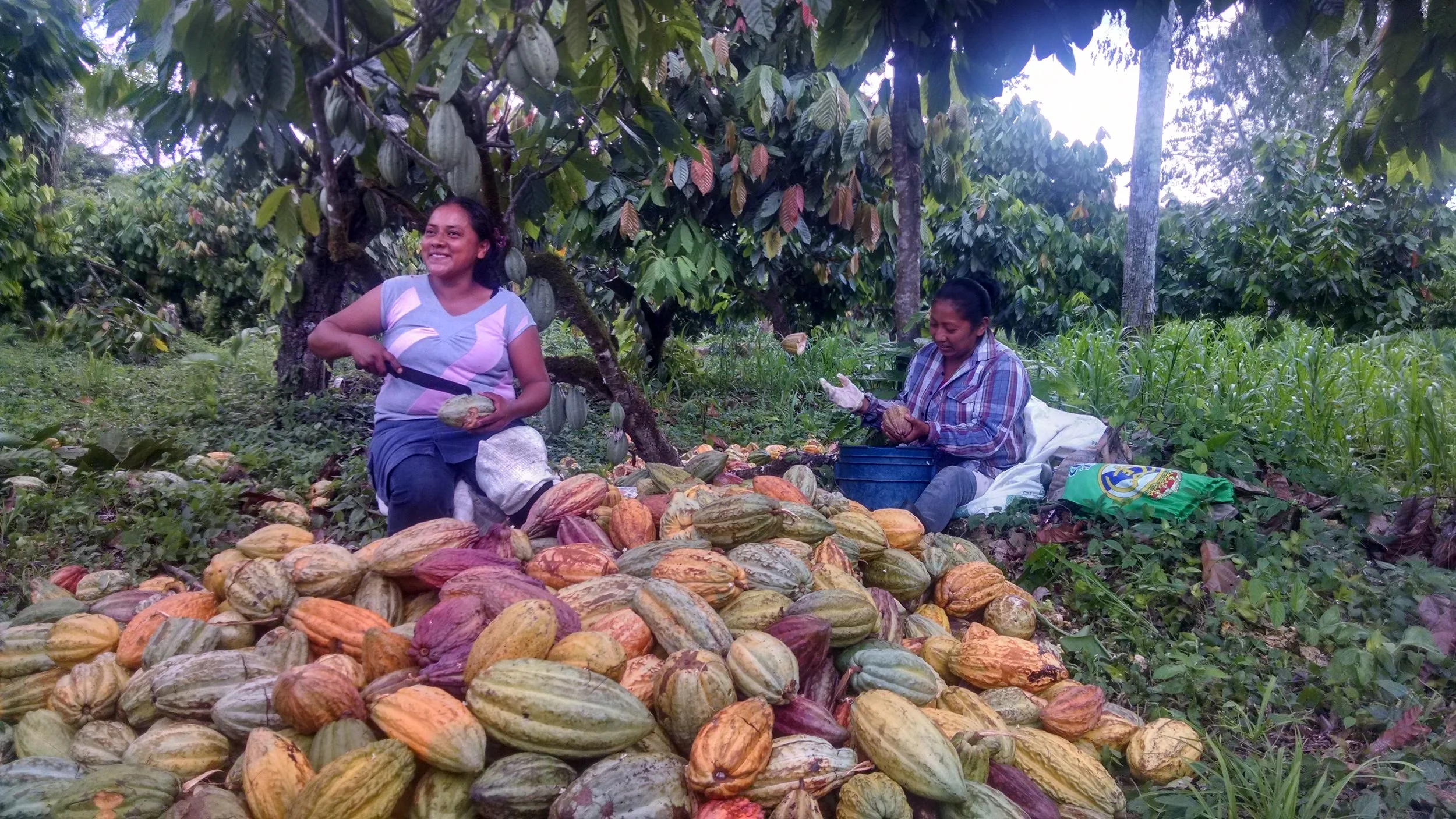 Cacao farmers Dina Ladena and Rosalva Ventura in Belize, photo by Taza Chocolate