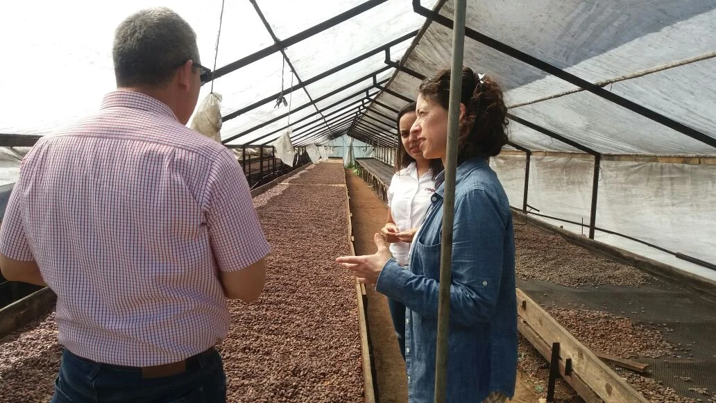 At the Cagemi fermentary in the Dominican Republic