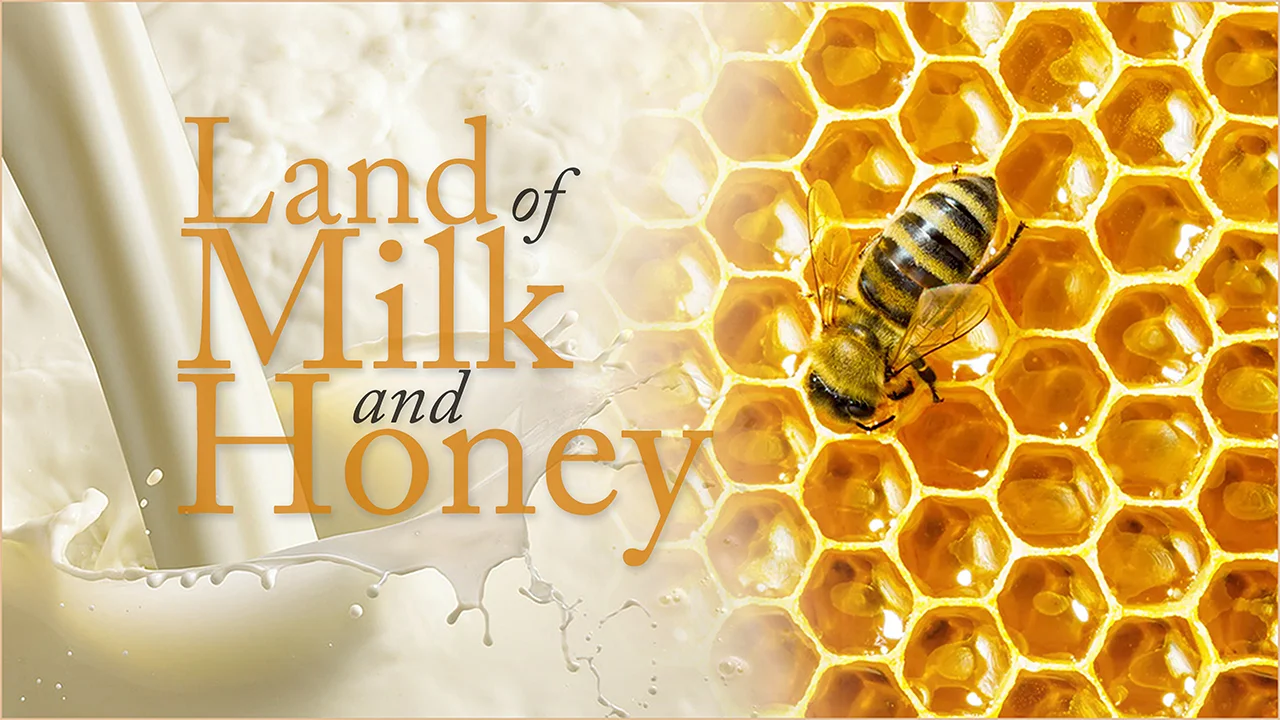 land-of-milk-and-honey.jpg