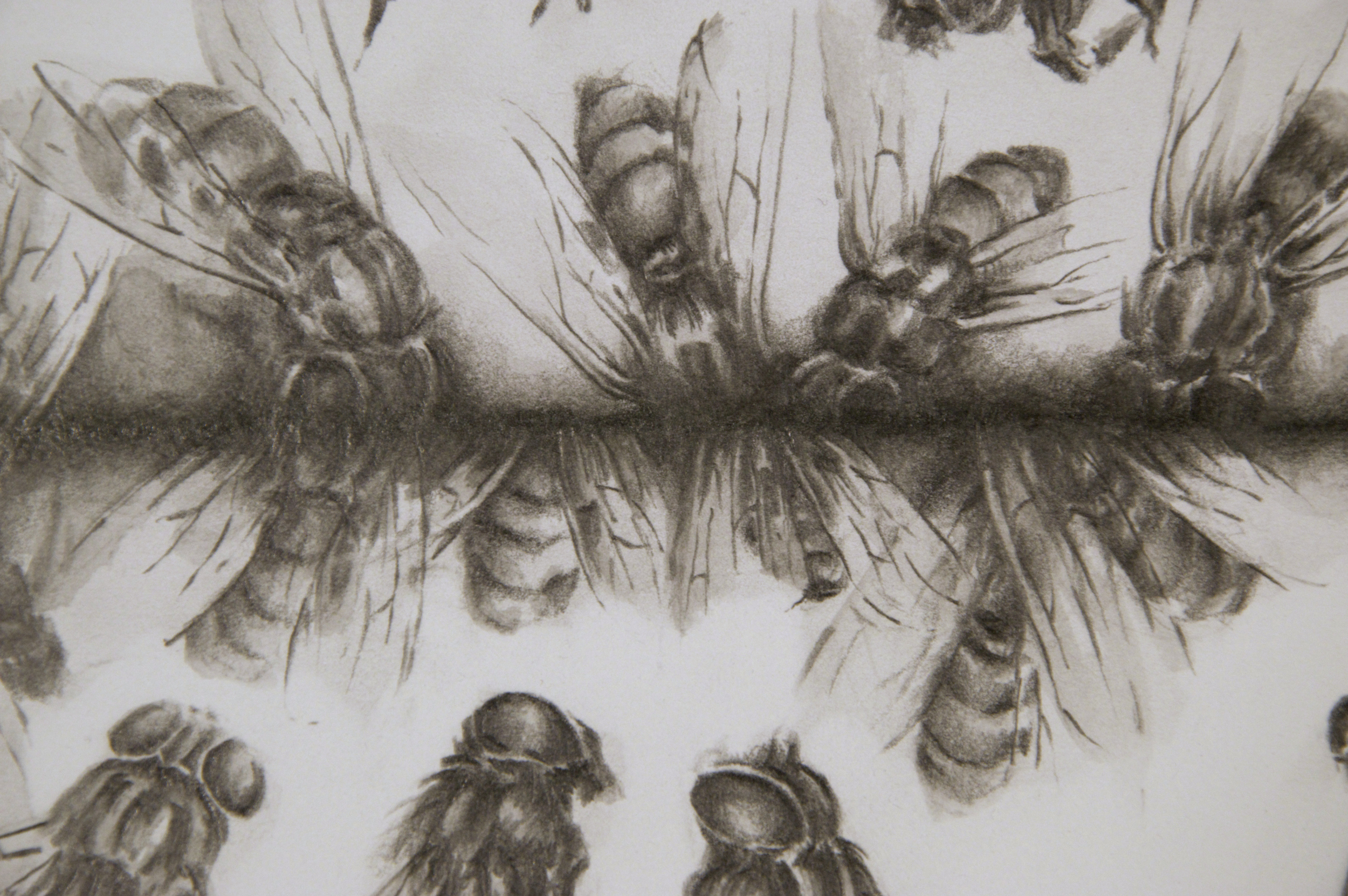 Escarpment (detail)