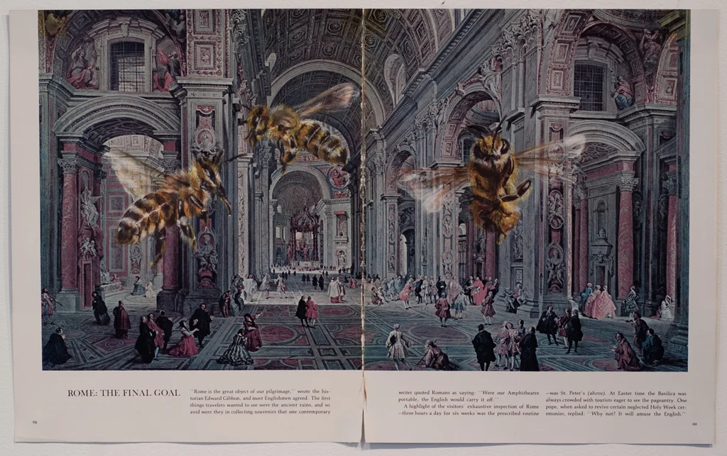 Rome: The Final Goal