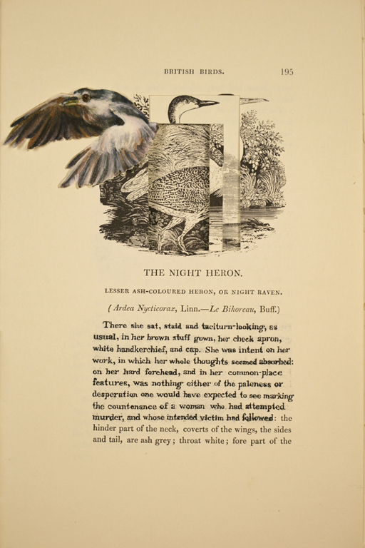 The Night Heron (Grace Poole)