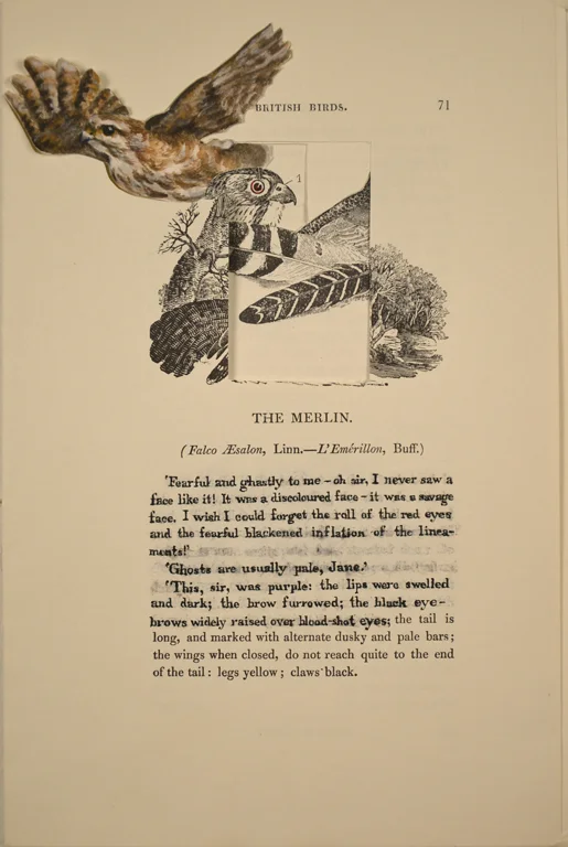 The Merlin (Bertha Mason)