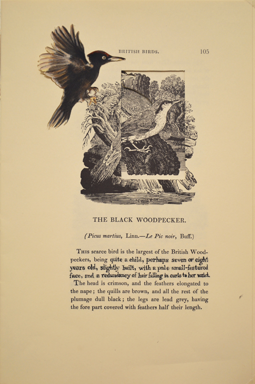 The Black Woodpecker (Adele Varens)