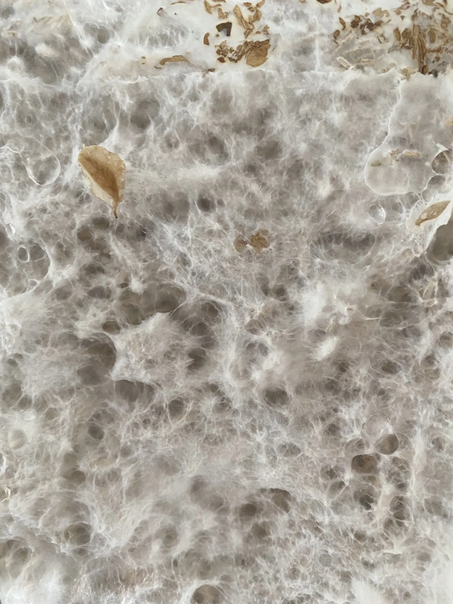 The Cherry-Picker Table_11.JPEG