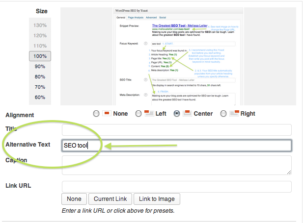 seo tool