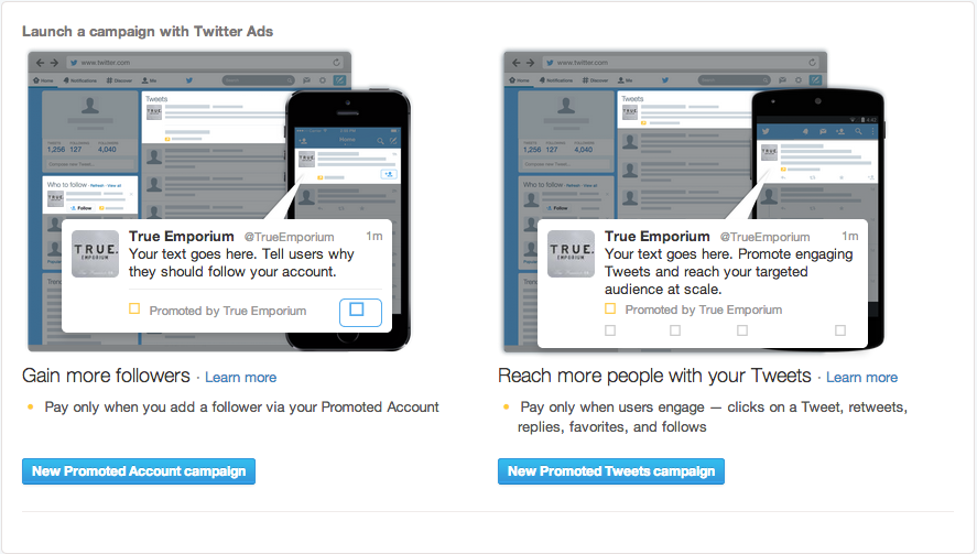 twitter promoted account campaign