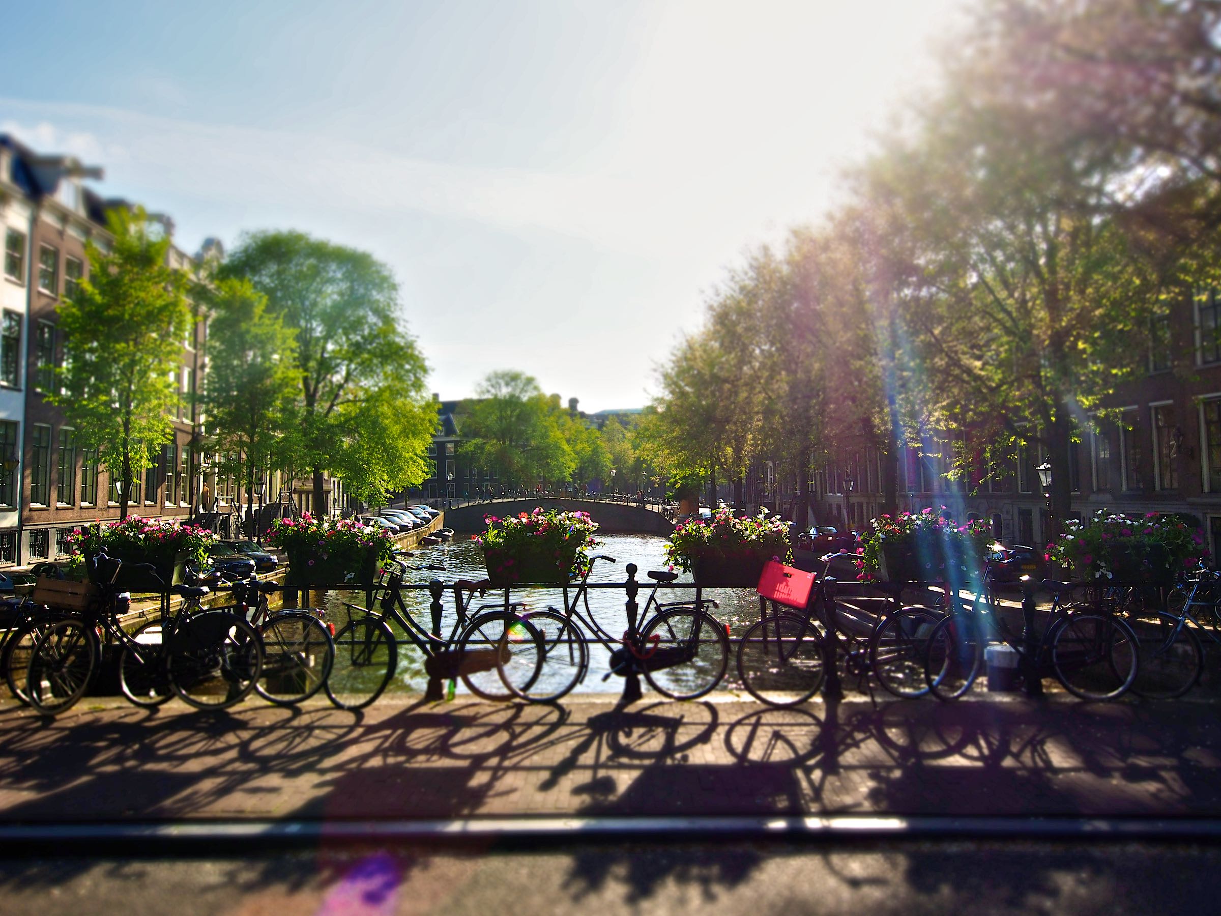 Canals and Bikes