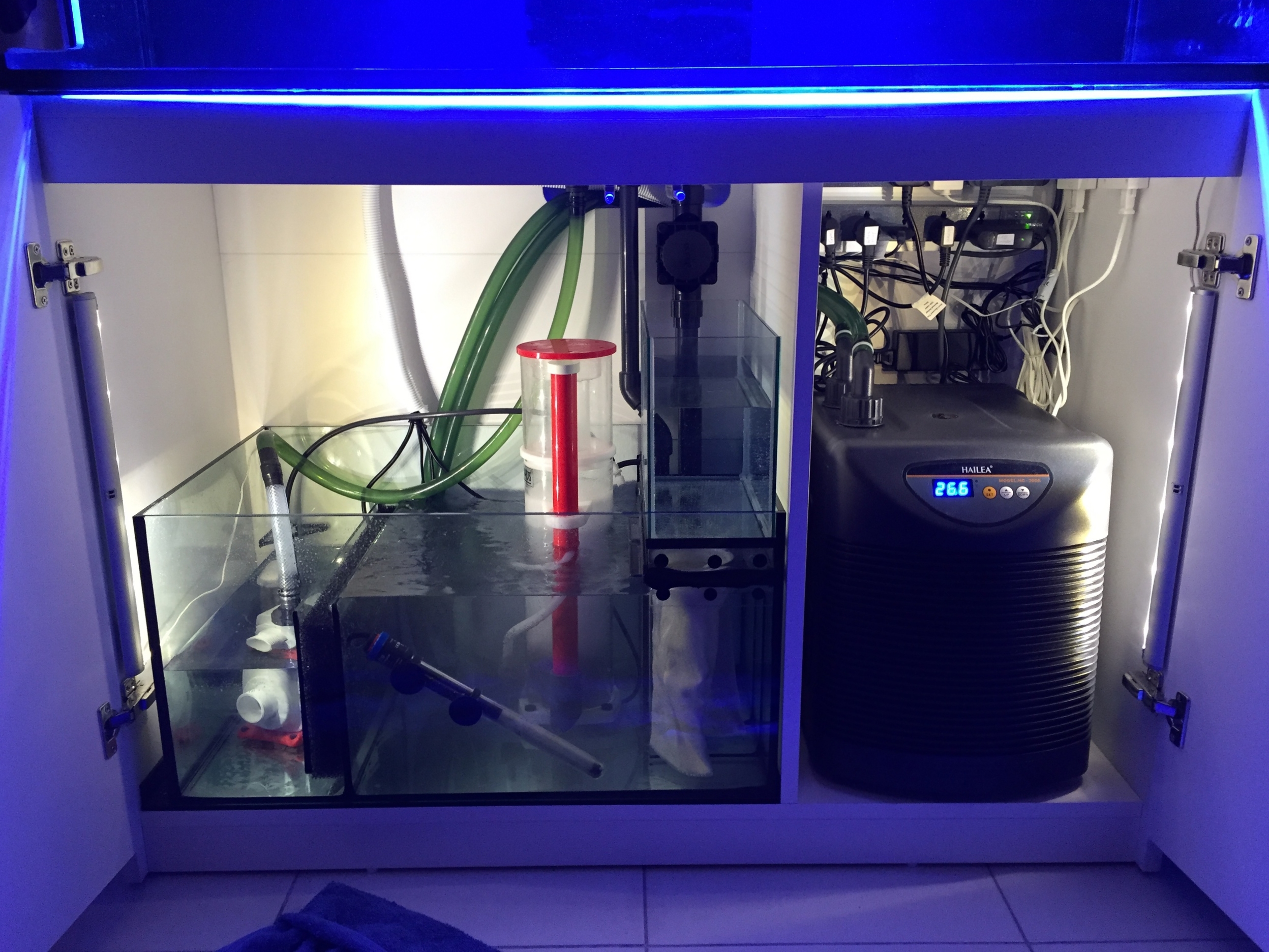 The cabinet with the sump and chiller. I've since cleaned up the cabling and piping further. The chiller position underneath the tank isn't best for heat dissipation but I don't expect that it will be needed this much, as I'll keep the tank around 26.5 degrees. 