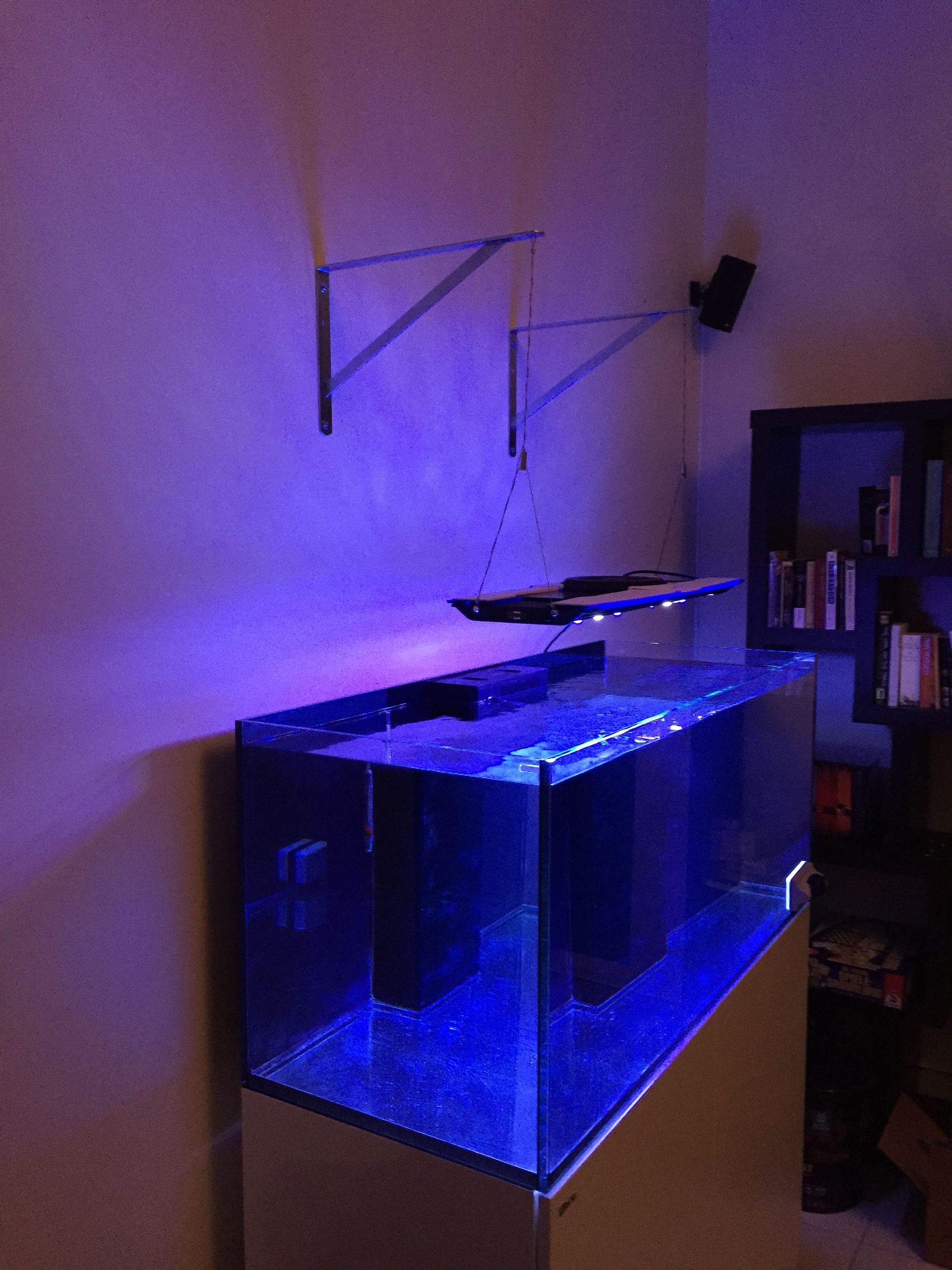 The Zetlight hanging on the wall. Wish it was possible to hide the cable. 