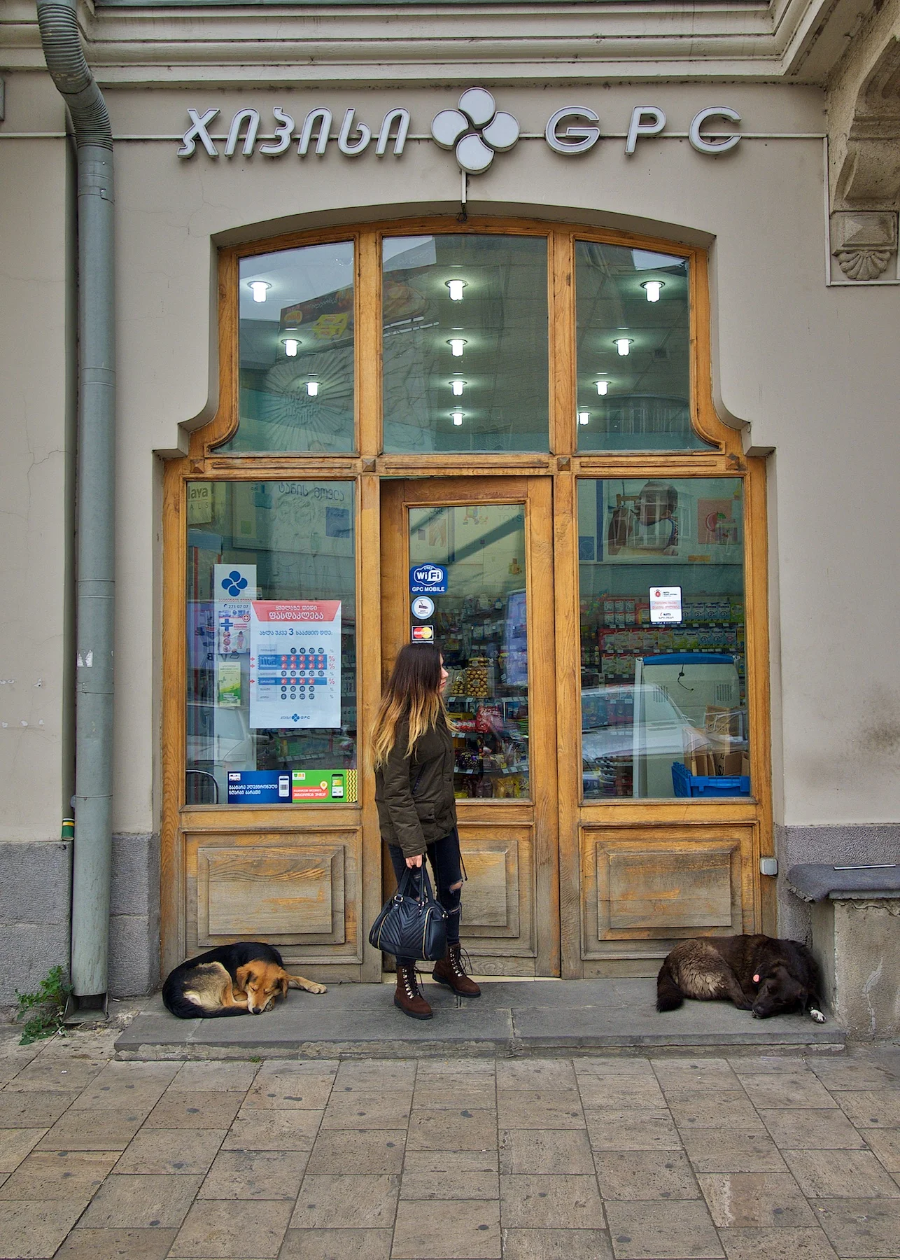 Dogs