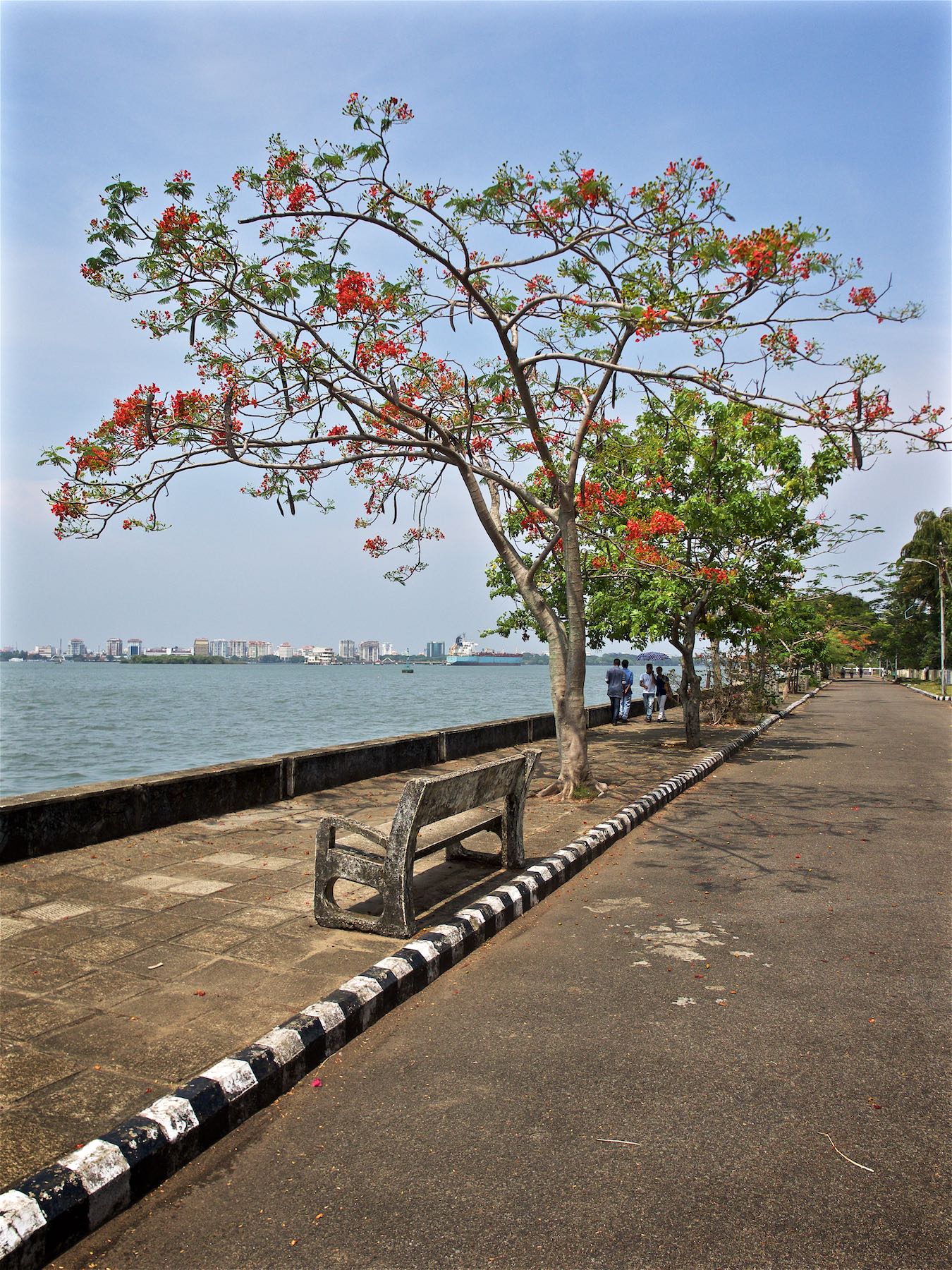 Willingdon Island Shorelines