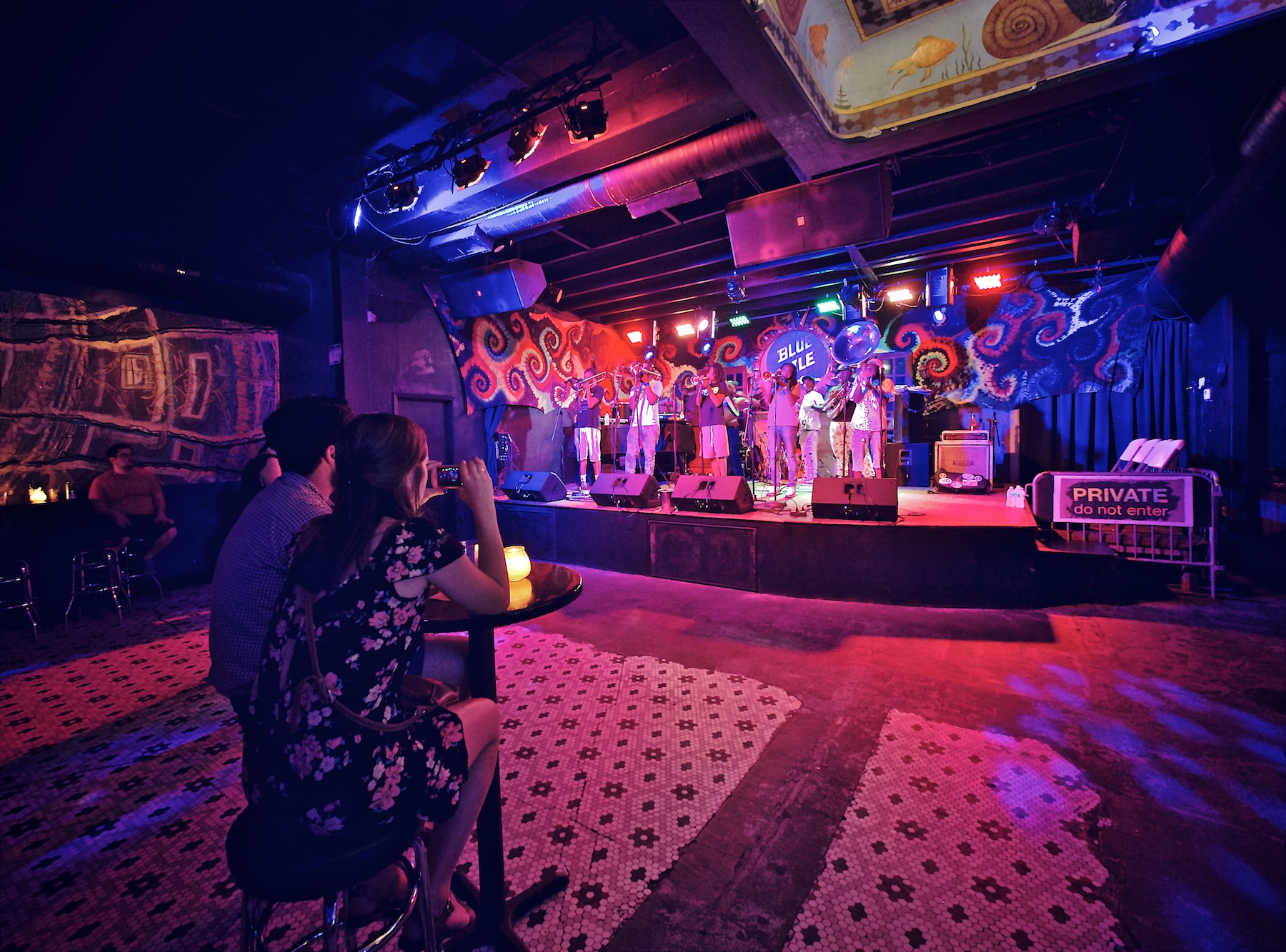 The Audience