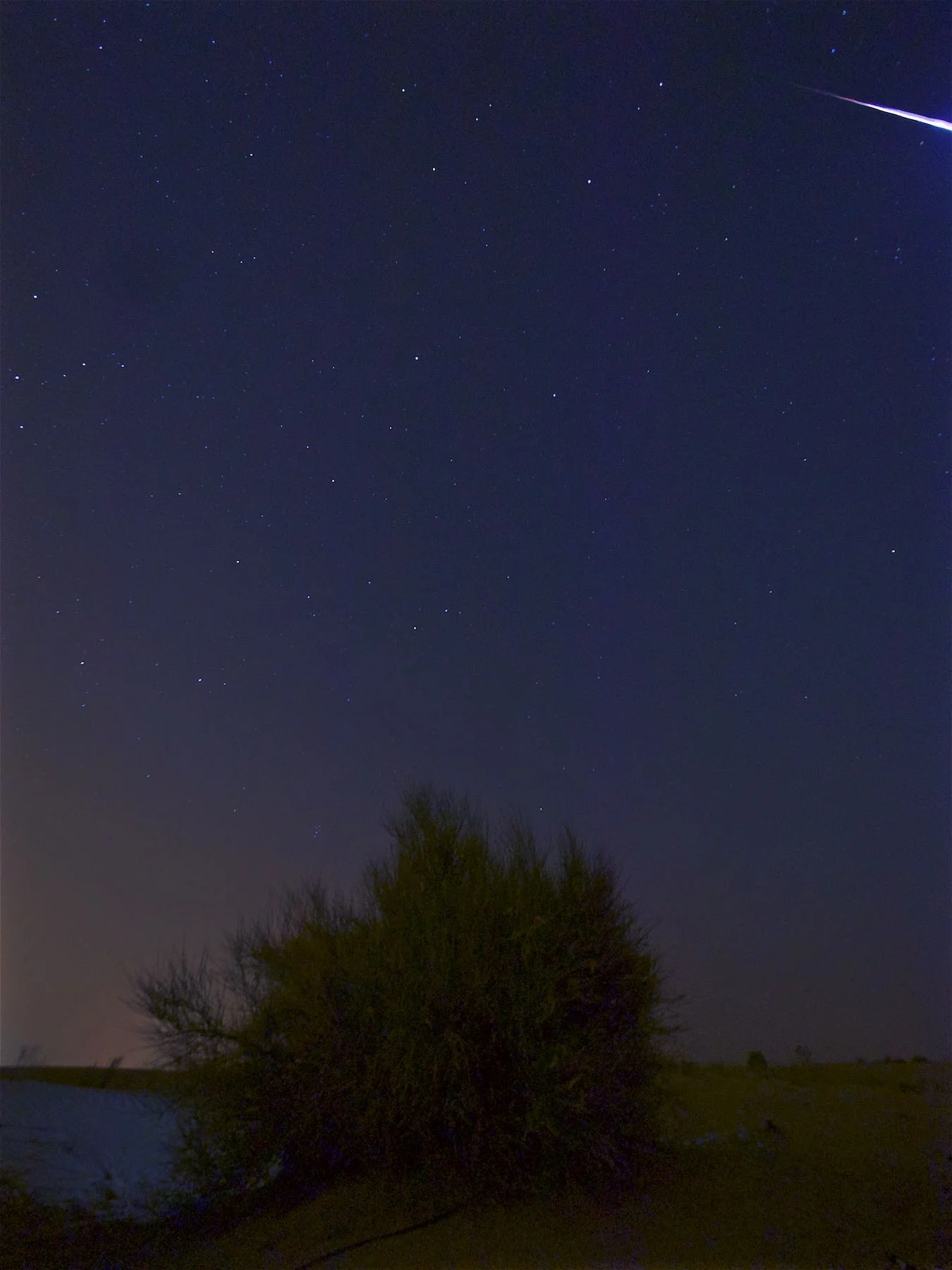 Perseids Shower