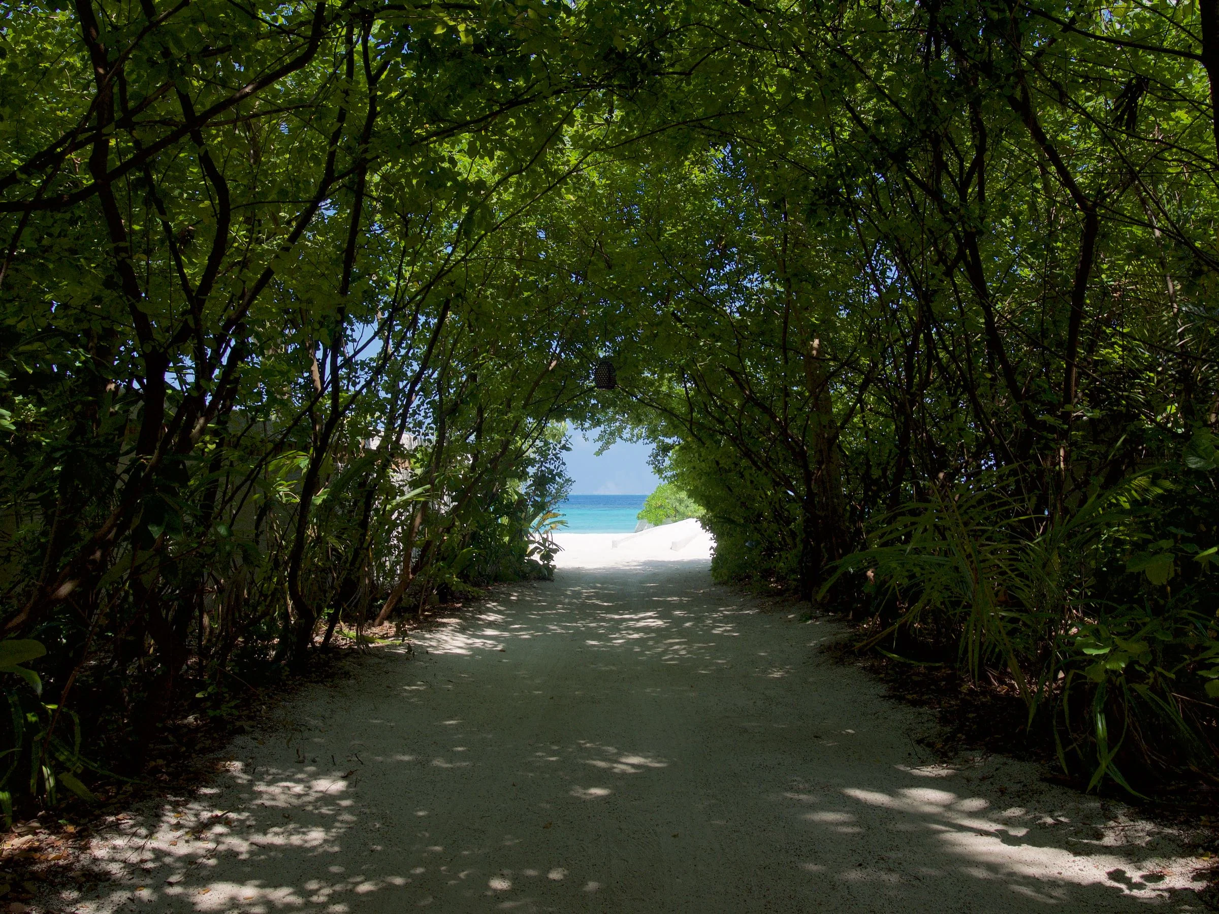 Path to Knowledge