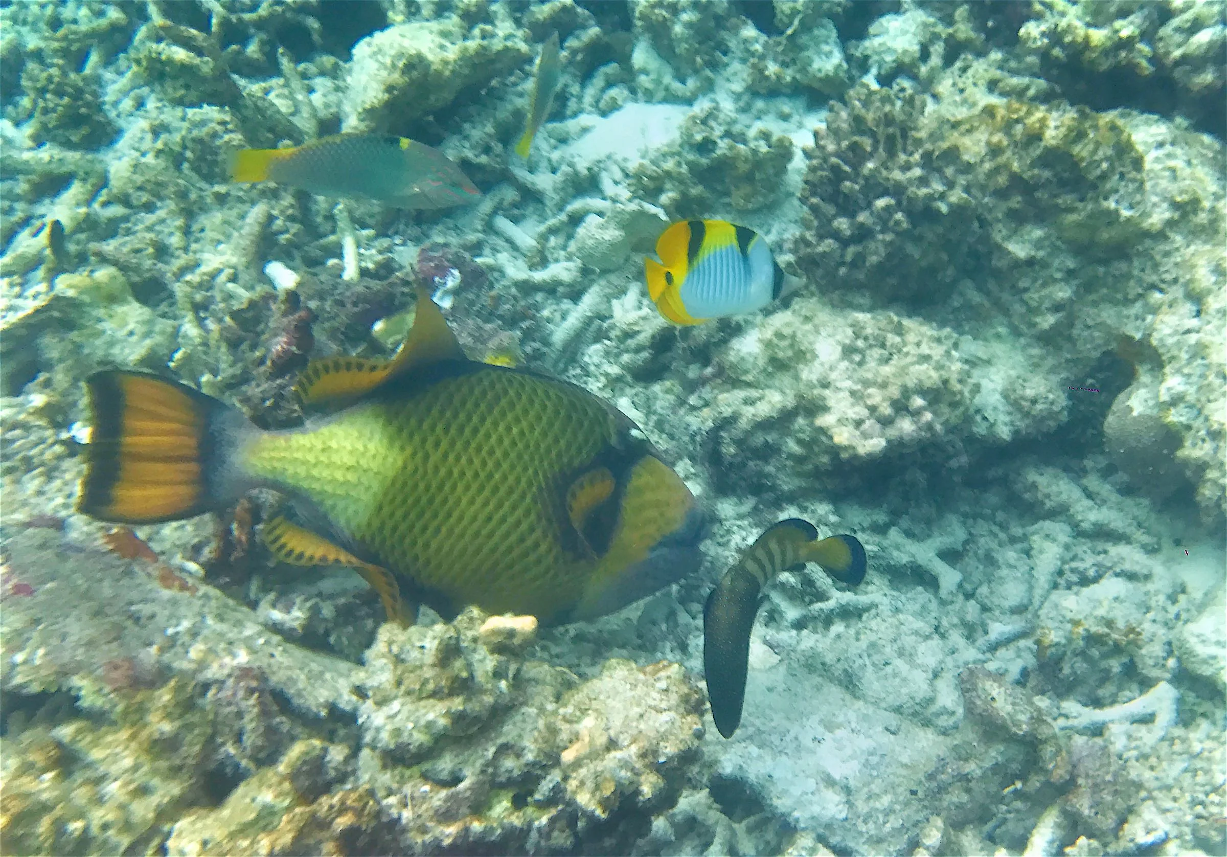 Underwater World