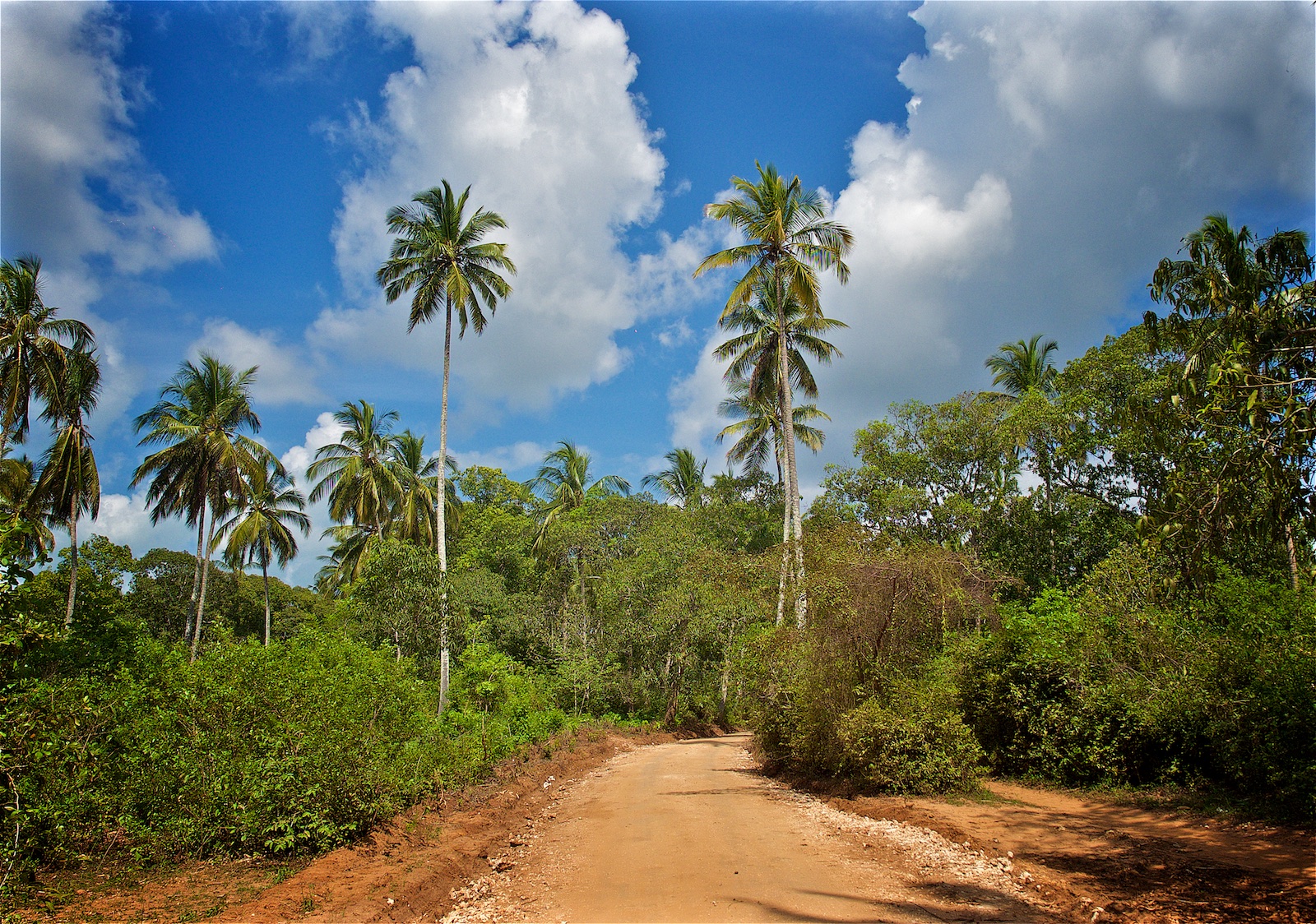 Road to the mainland