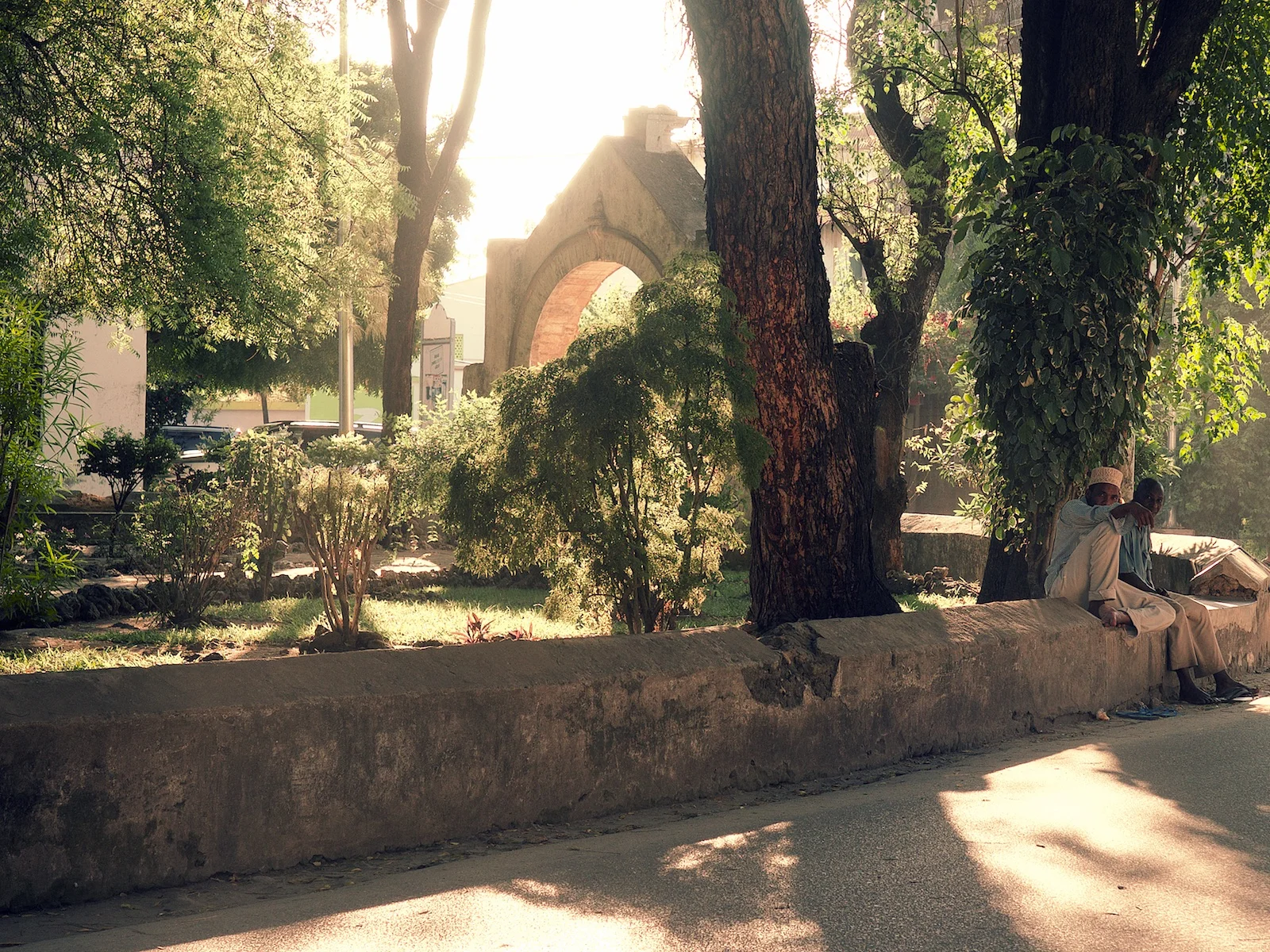 In the Sunshine