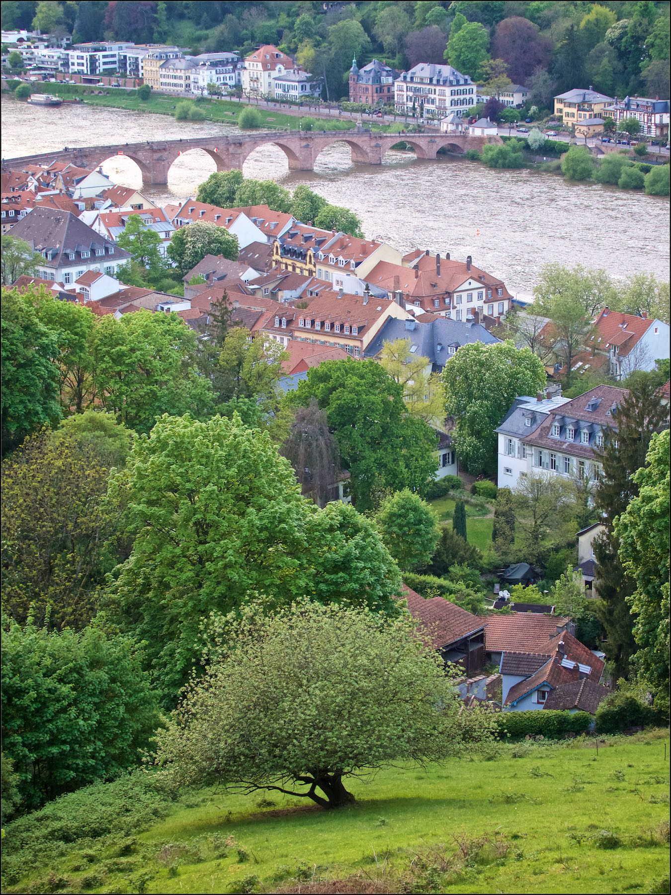 The Old Bridge. 