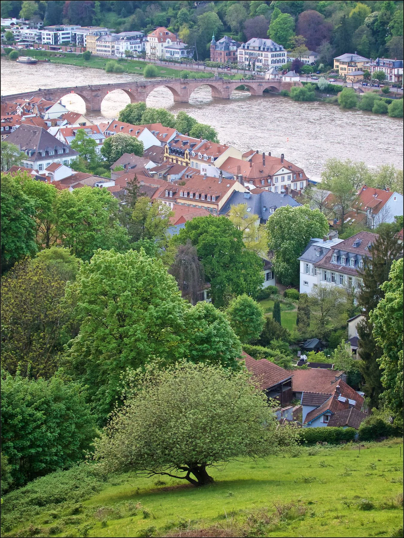 The Old Bridge.