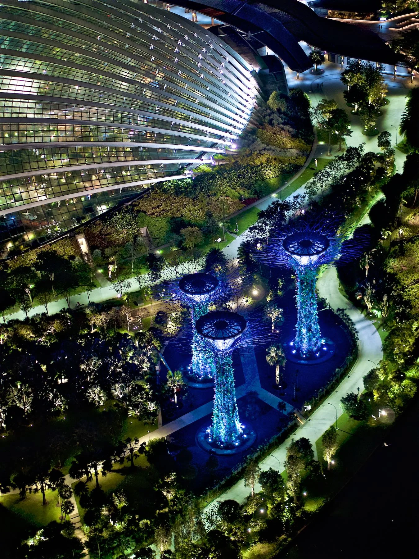 Supertree Grove & Cloud Forest