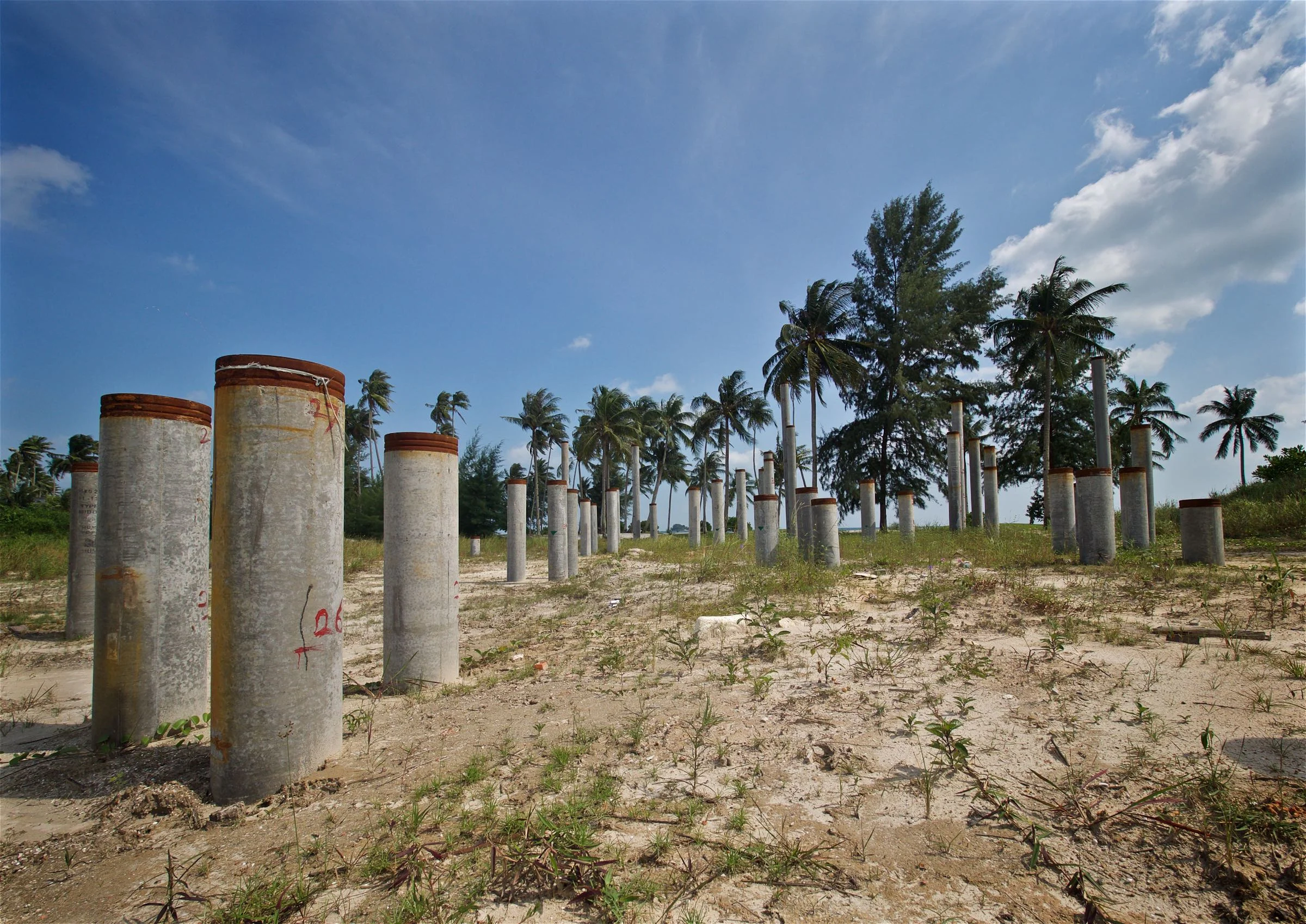 Human vs Natural Palm Trees