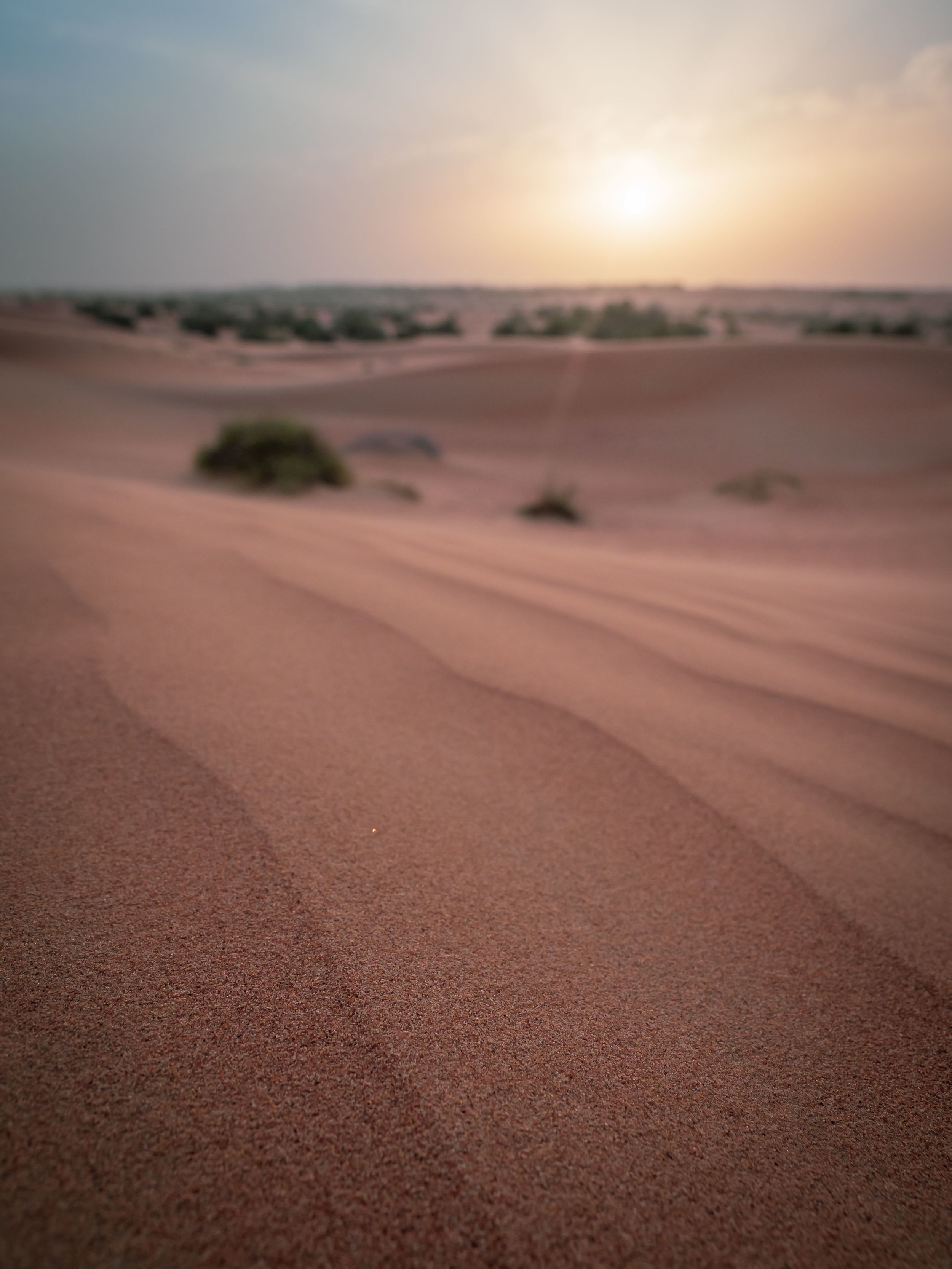 Sand Waves