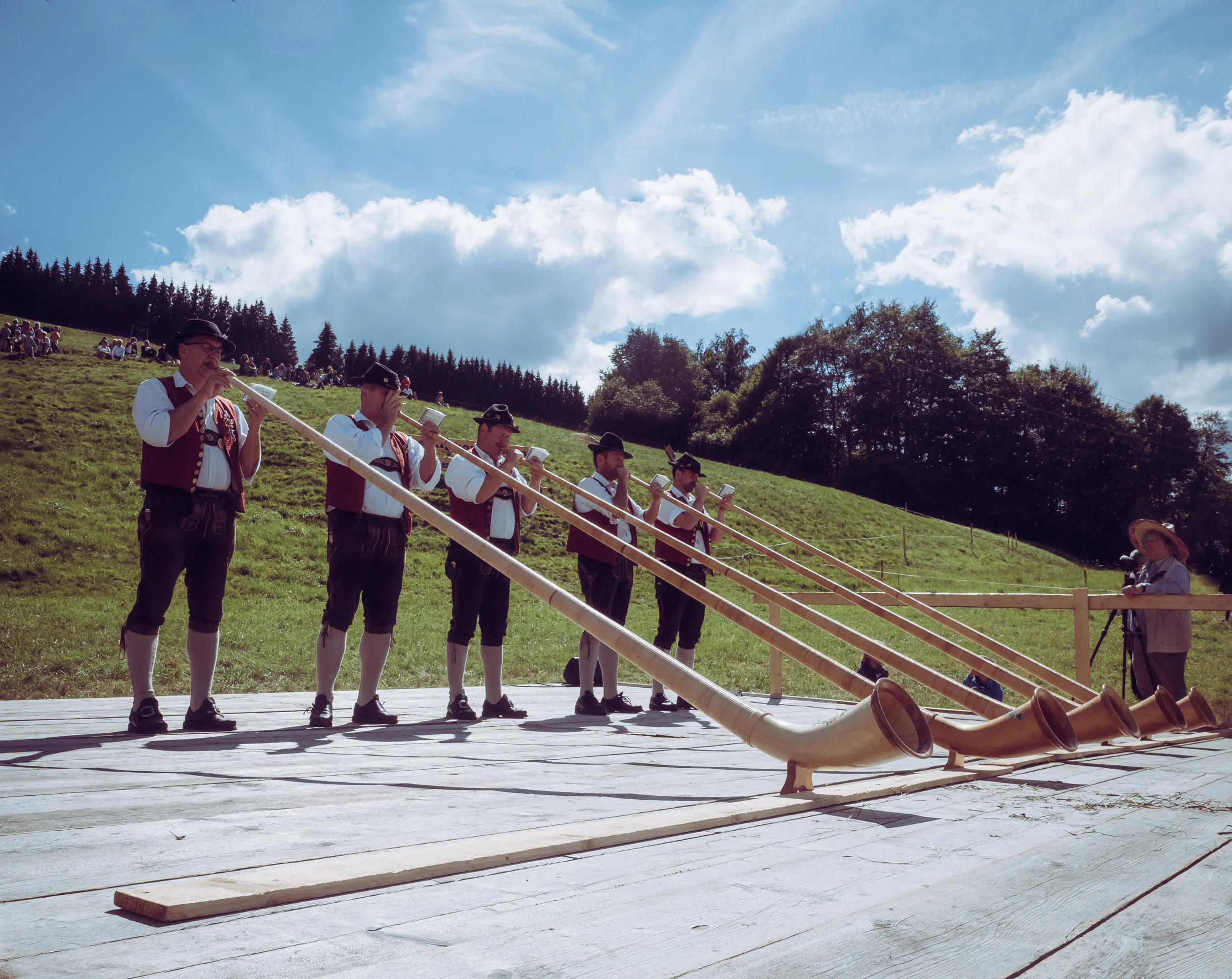 Alphorns