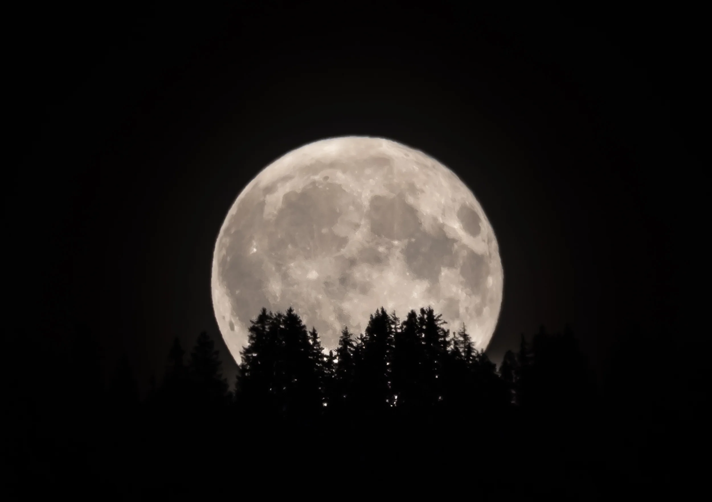 Full Moon