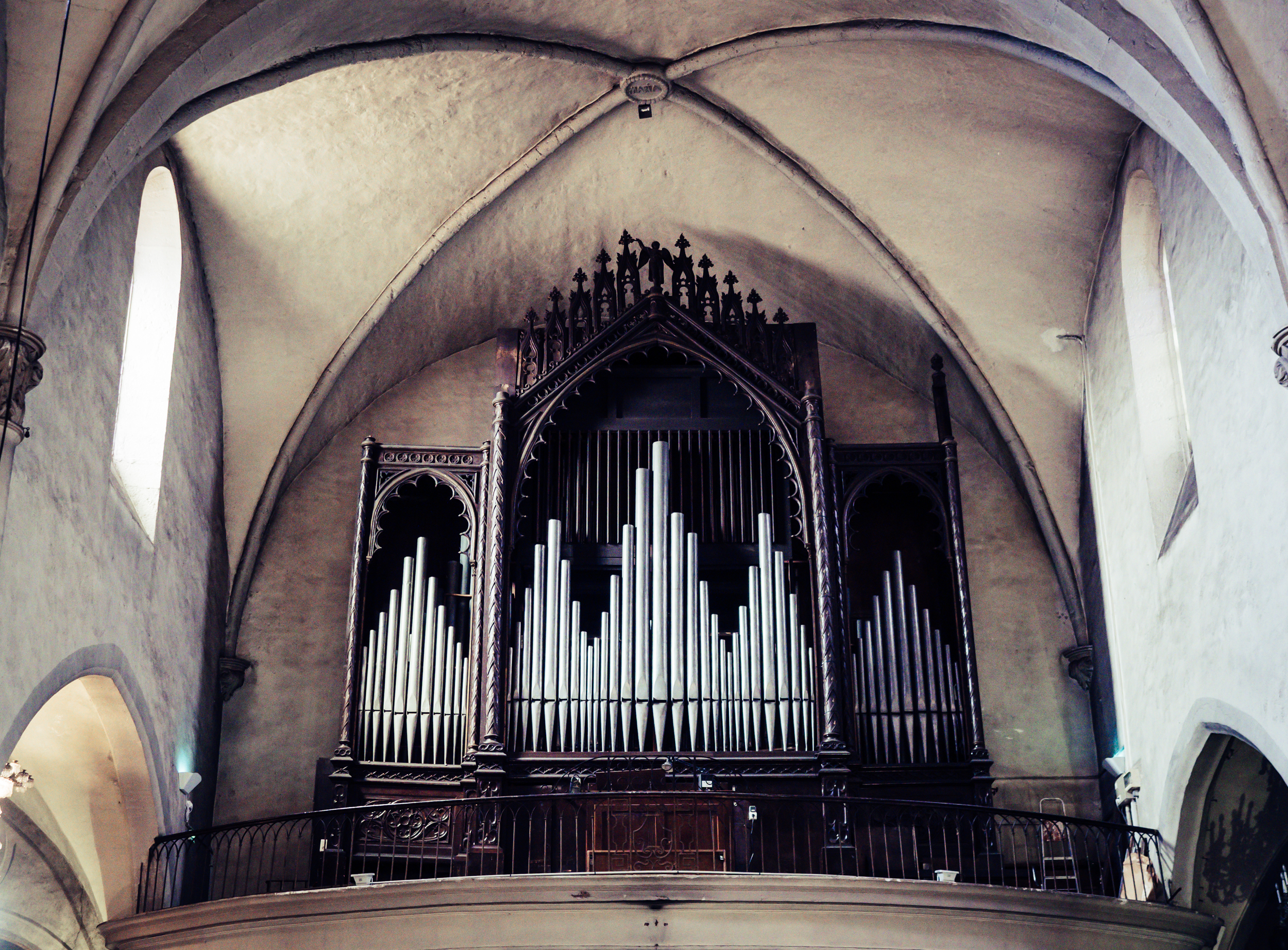 Organ