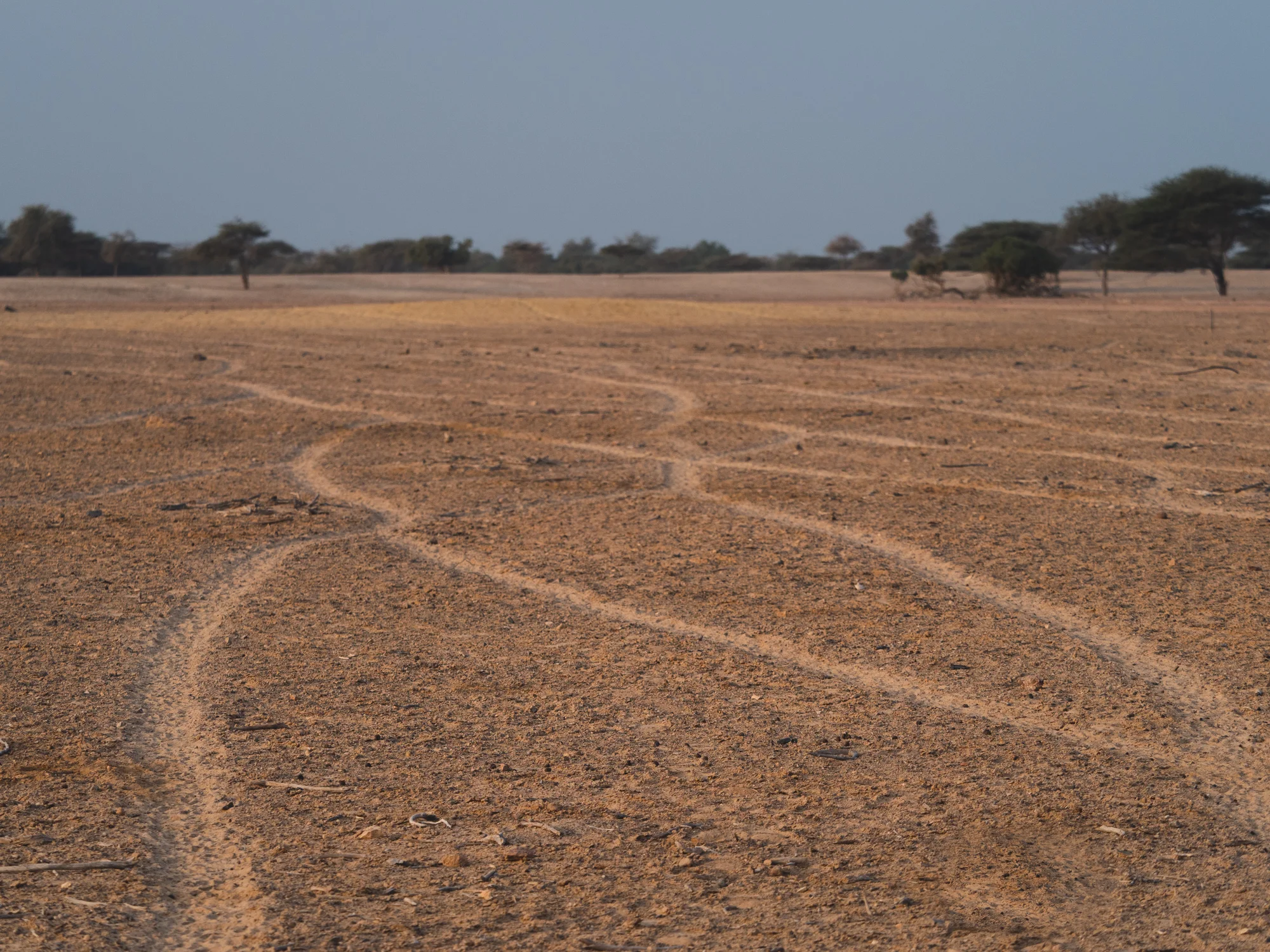 Car Tracks?