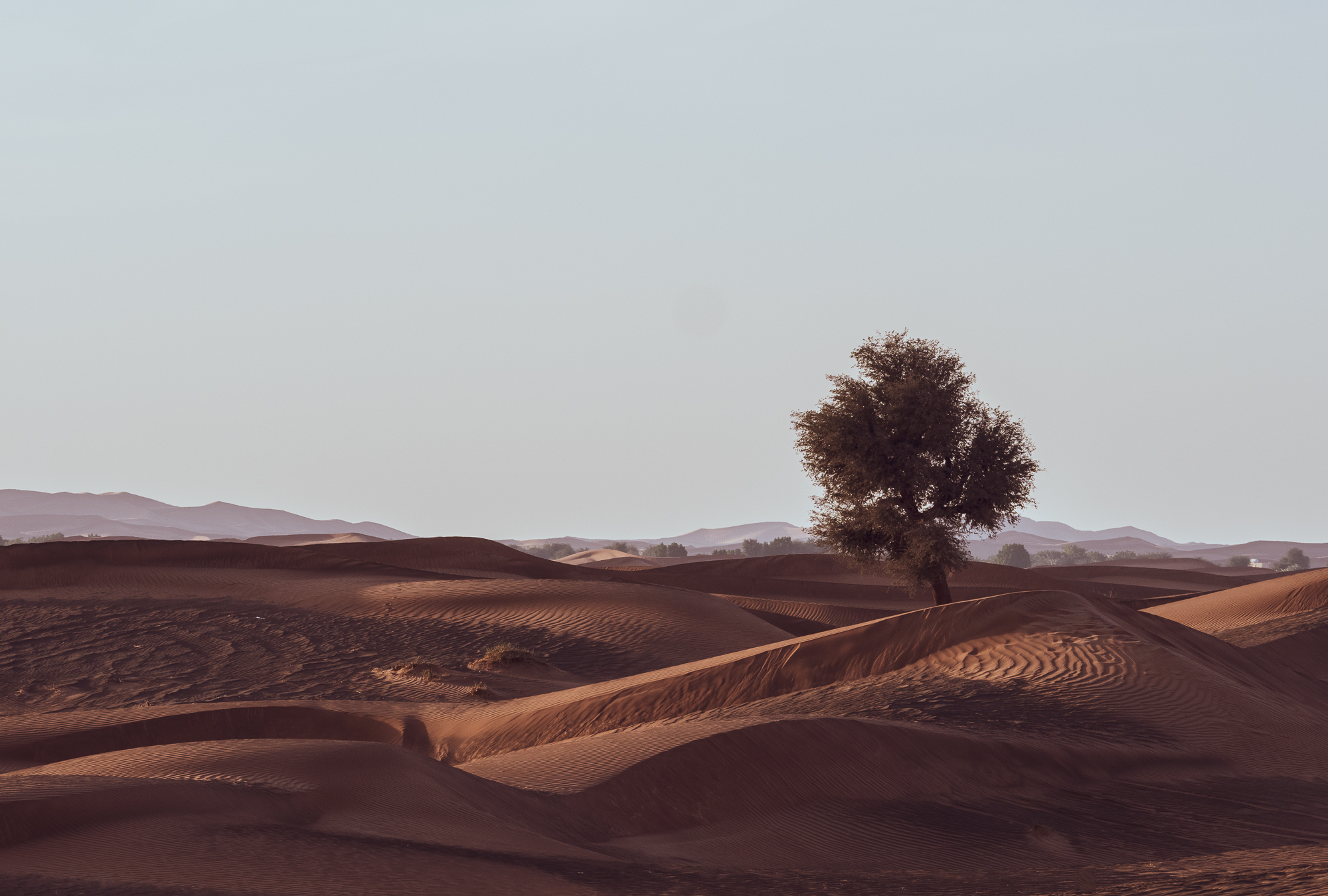 Desert Views