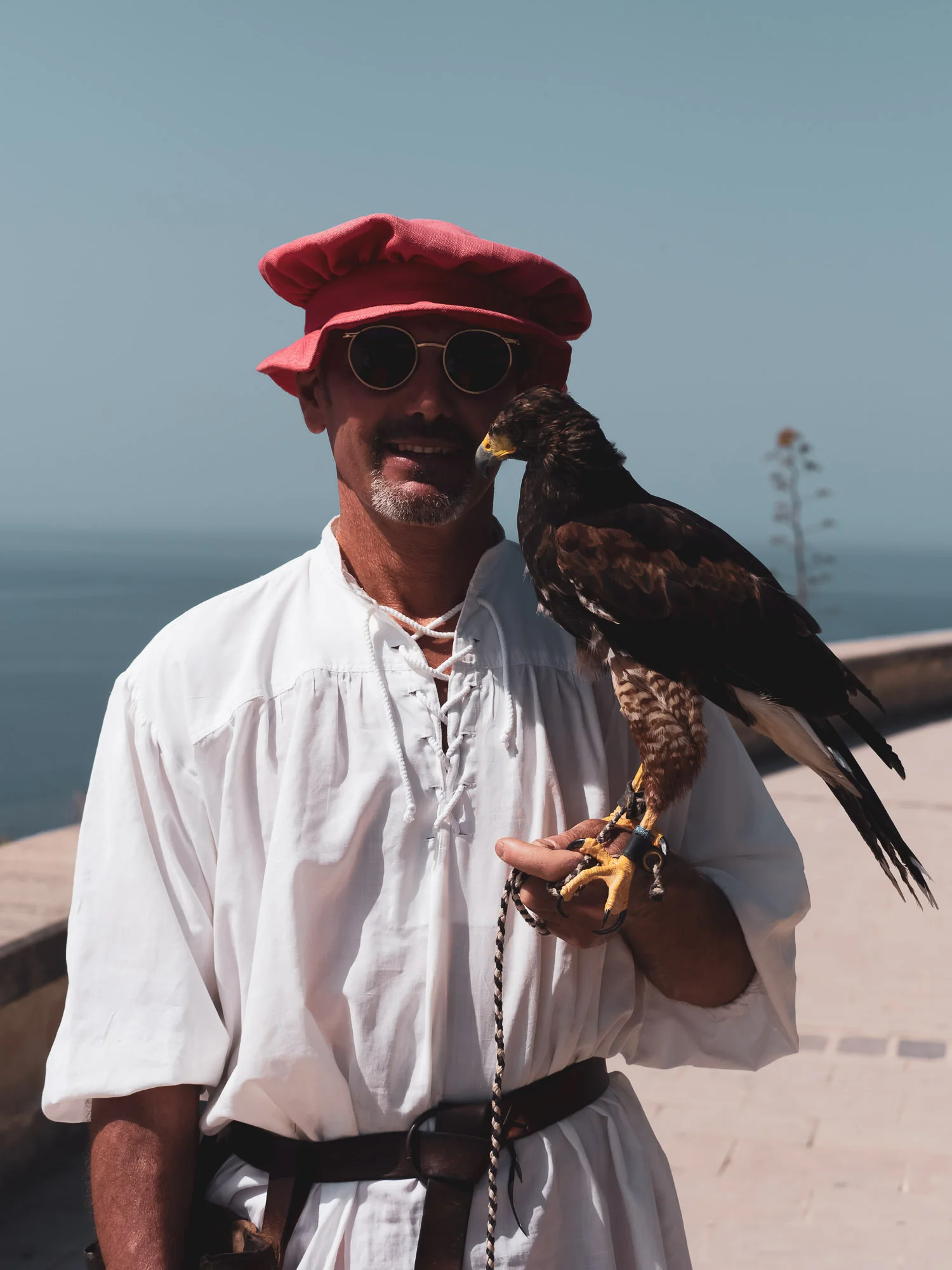 Falconry