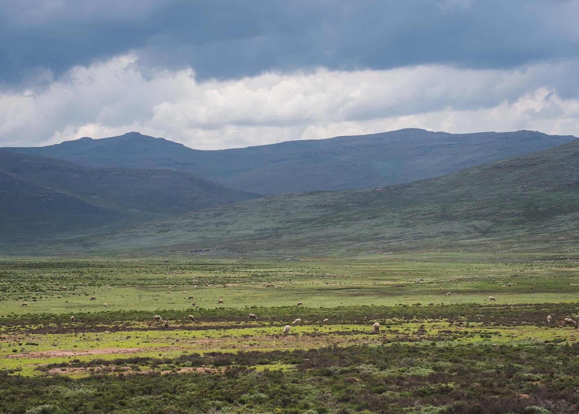 Lesotho