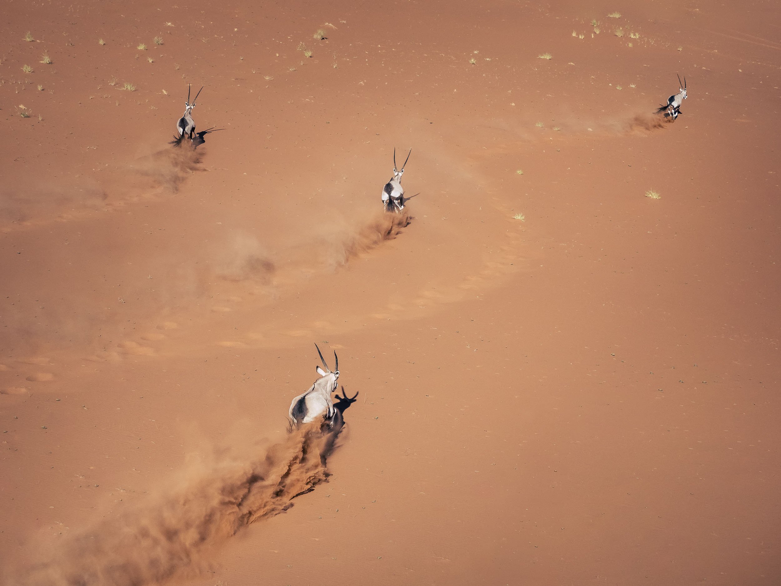 Over the Dunes