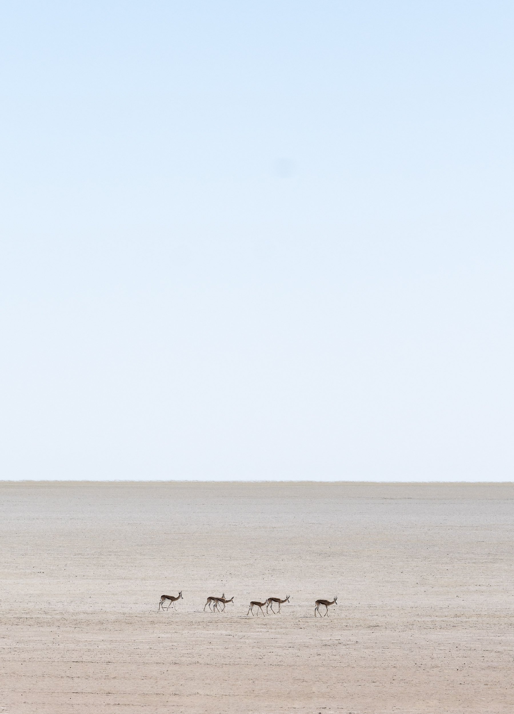 The Etosha Pan