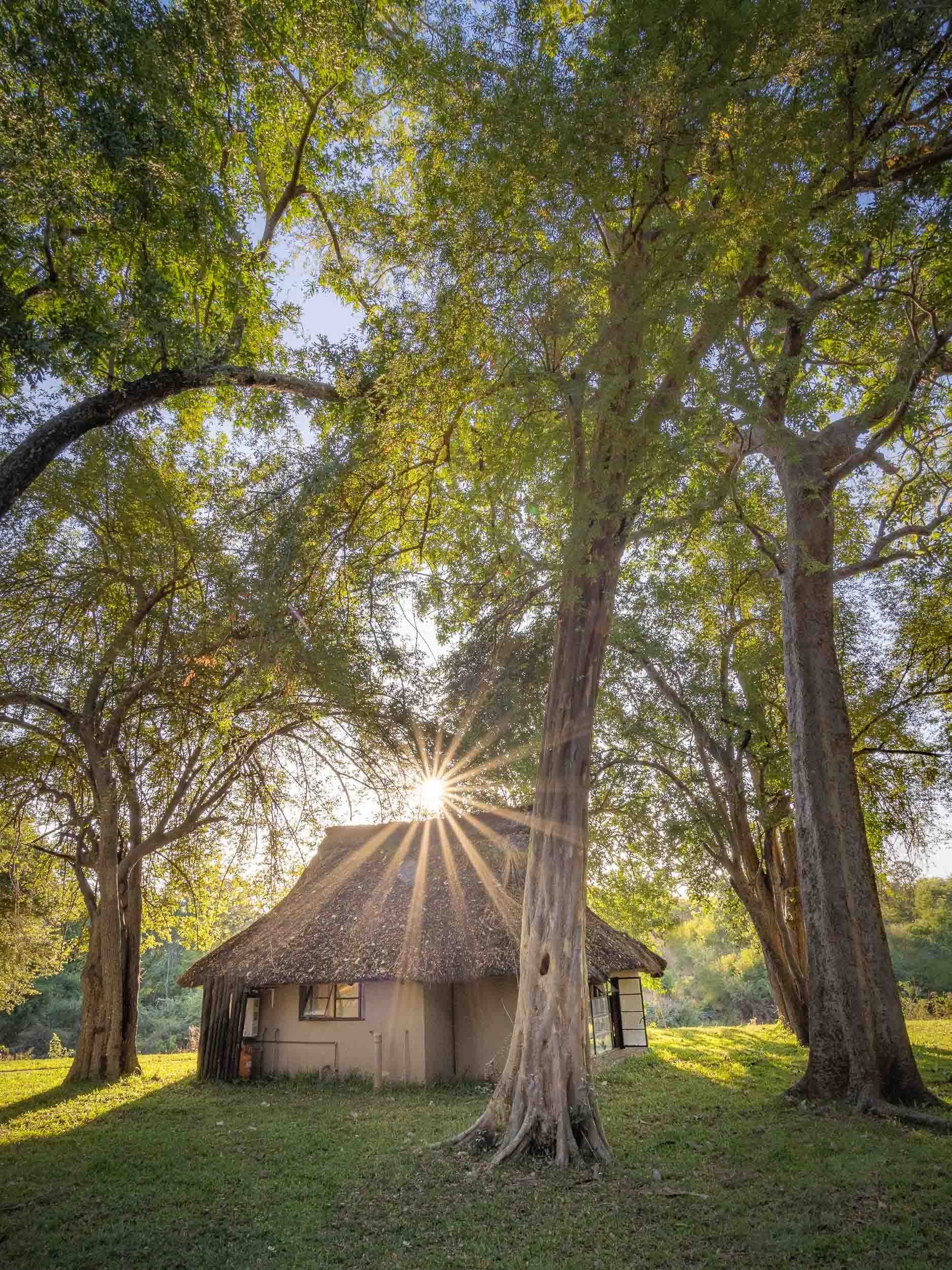 House in the Bush