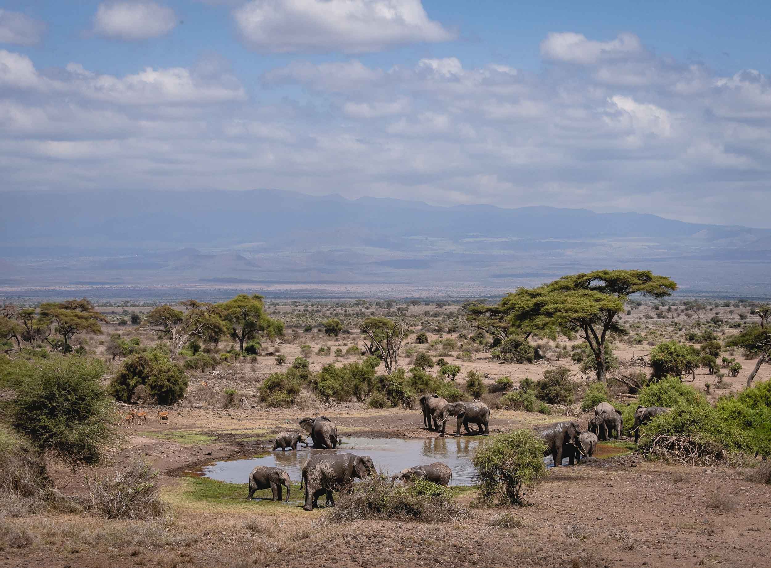 By The Waterhole